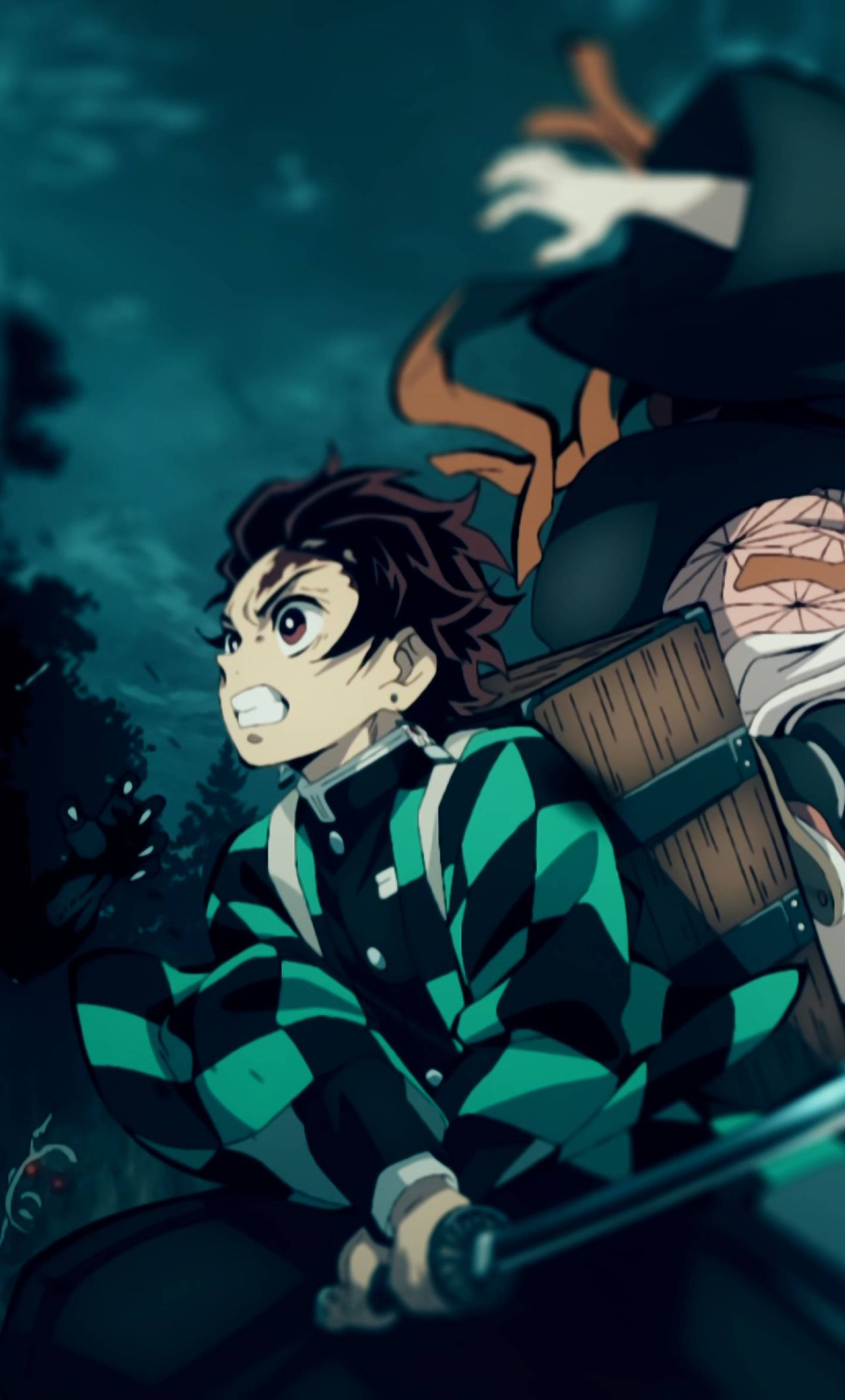 Demon Slayer, Tanjiro, green and black checkered kimono, 2K Phone Wallpaper