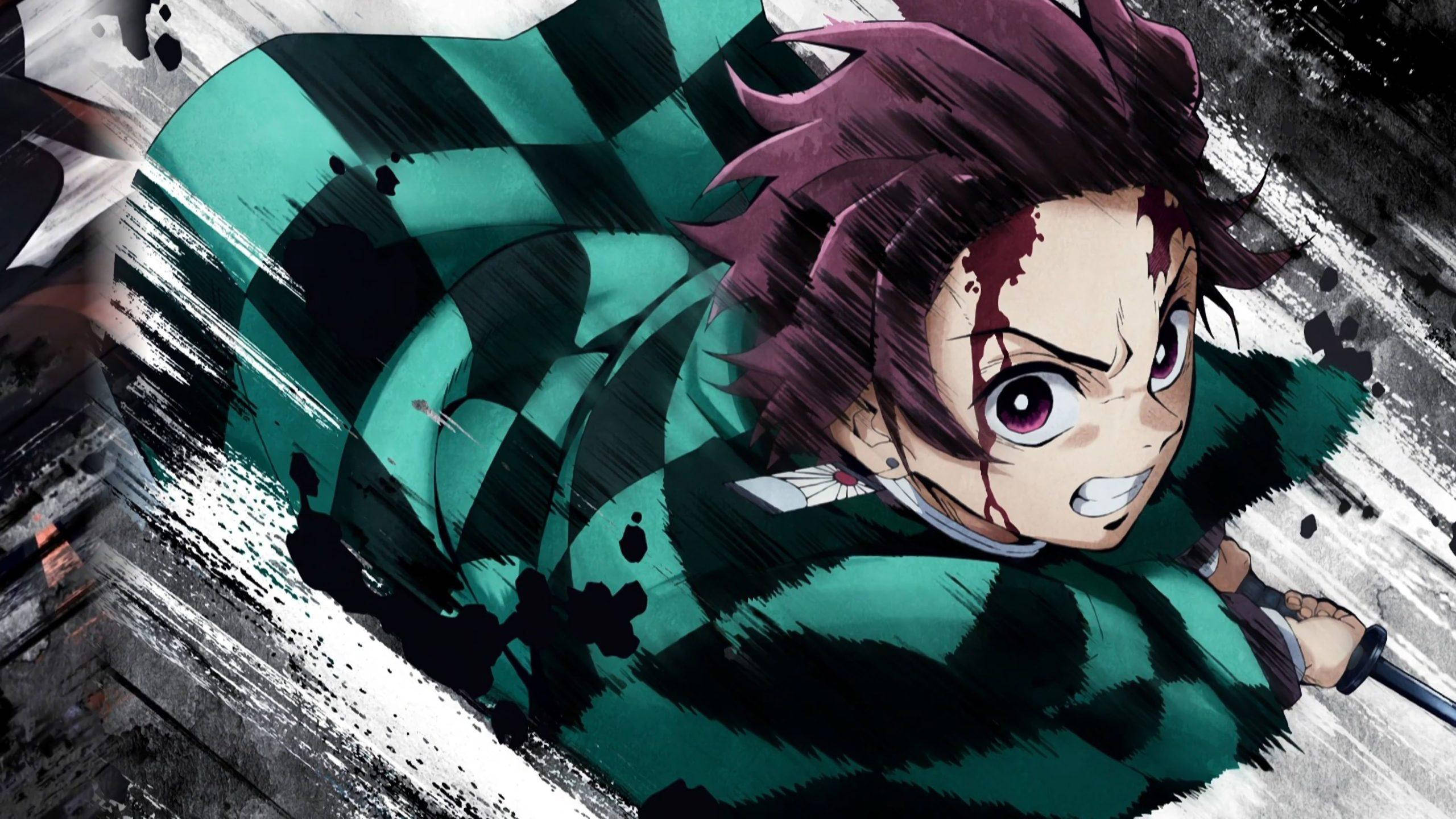 Demon Slayer, Tanjiro, purple hair, 2K Desktop Wallpaper