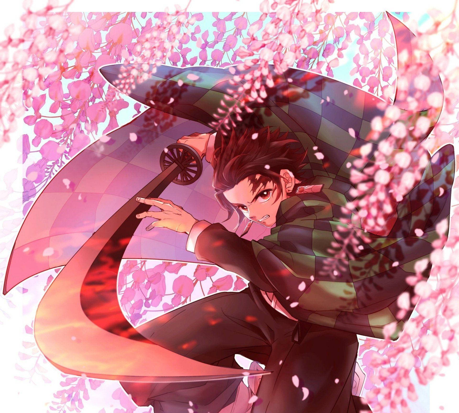 Demon Slayer, Tanjiro, pink cherry blossoms, Full HD Desktop Wallpaper