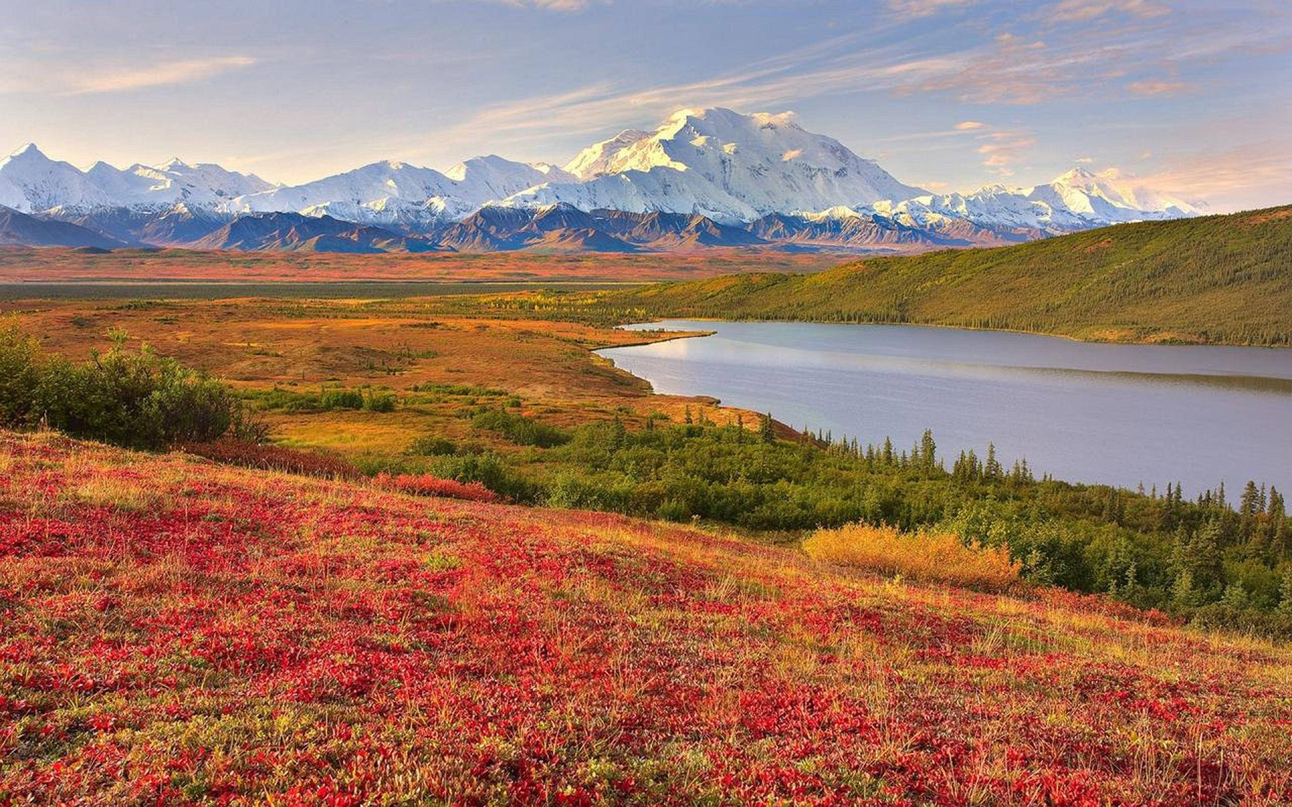 Denali, red field, serene lake, 2K Desktop Wallpaper