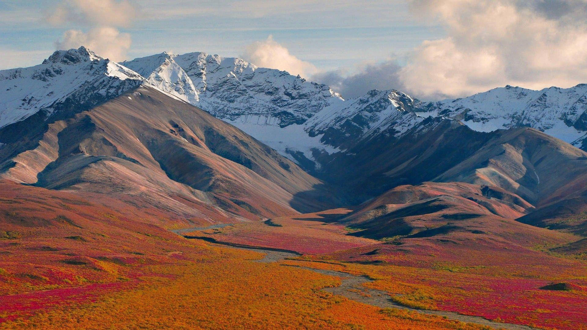 Denali, red and orange field, Sunset, Full HD Desktop Wallpaper