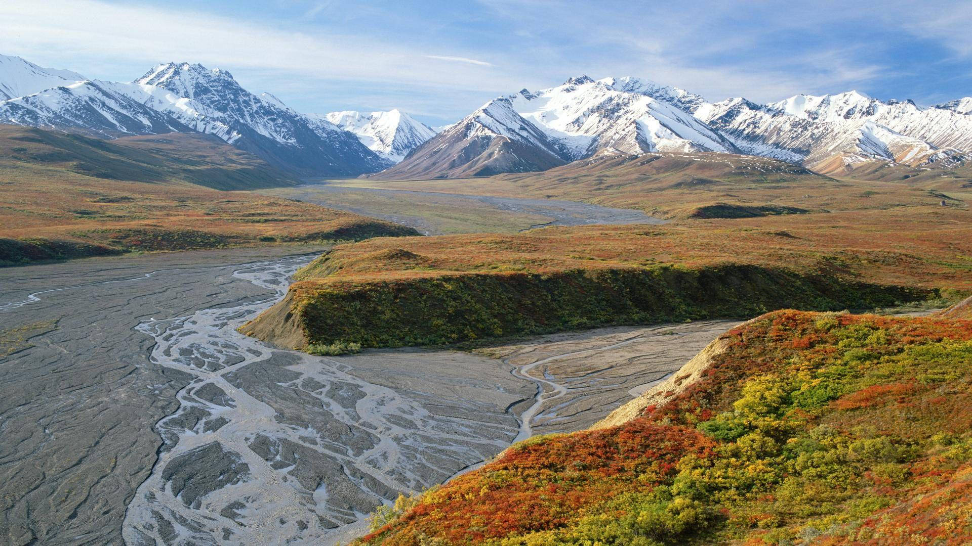 Denali, grassy field, winding river, Full HD Desktop Wallpaper