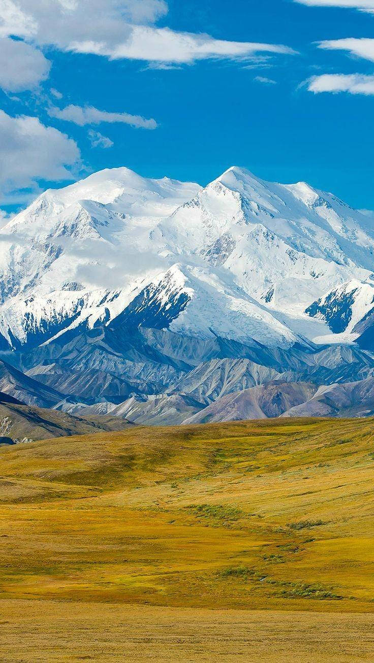 Denali, snow-capped mountain peaks, golden grasslands, HD Phone Wallpaper