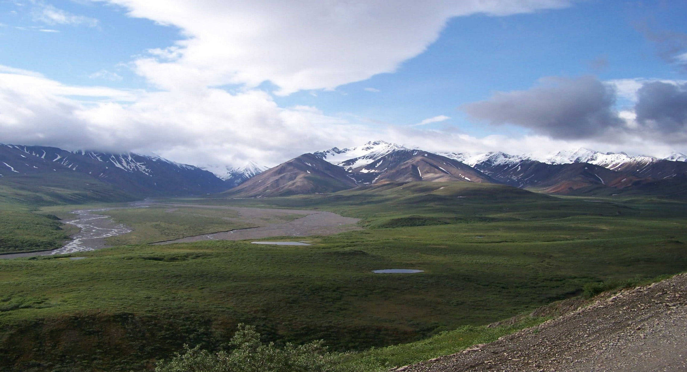 Denali, lush green valley, snow-capped mountains, Full HD Desktop Wallpaper