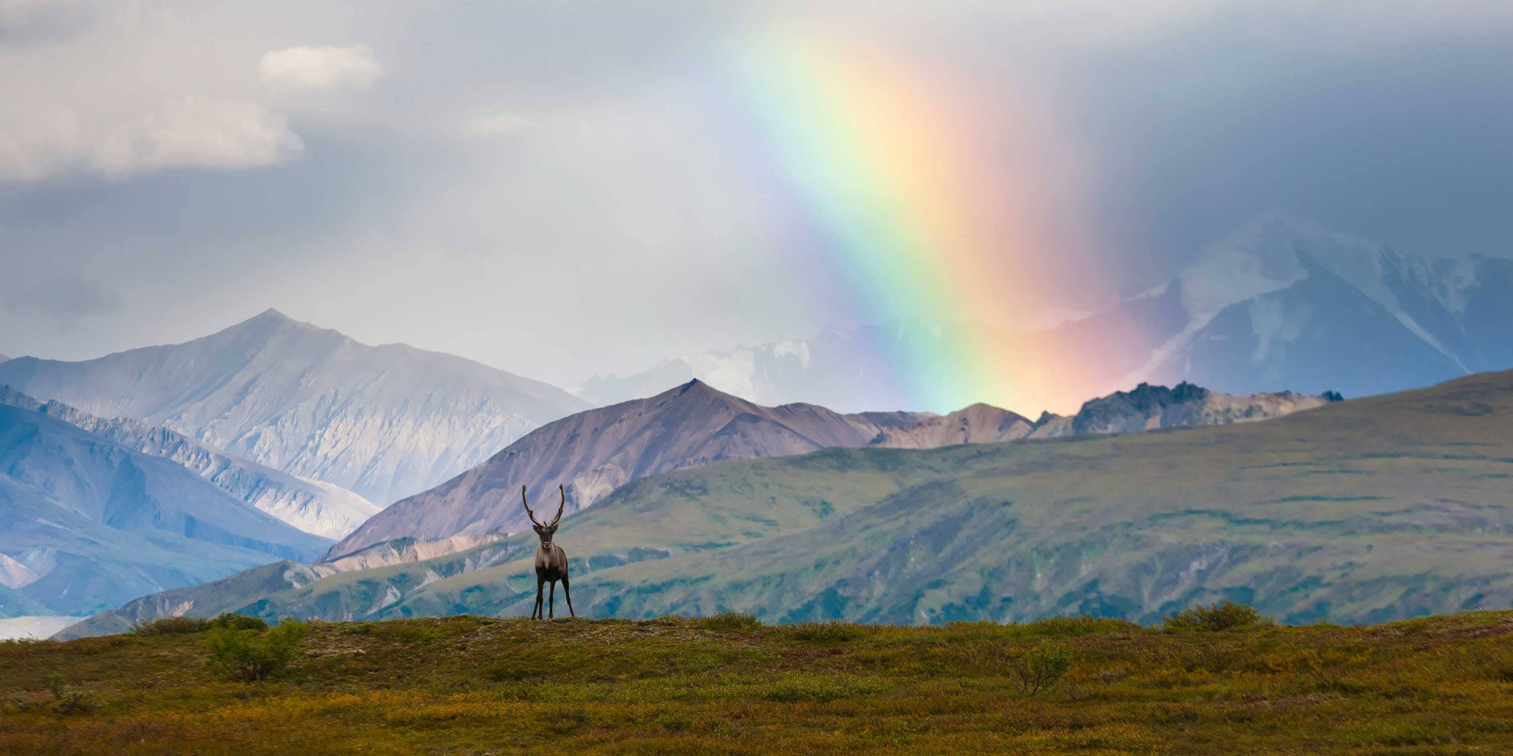 Denali, rainbow, snow-capped mountains, 2K Desktop Wallpaper