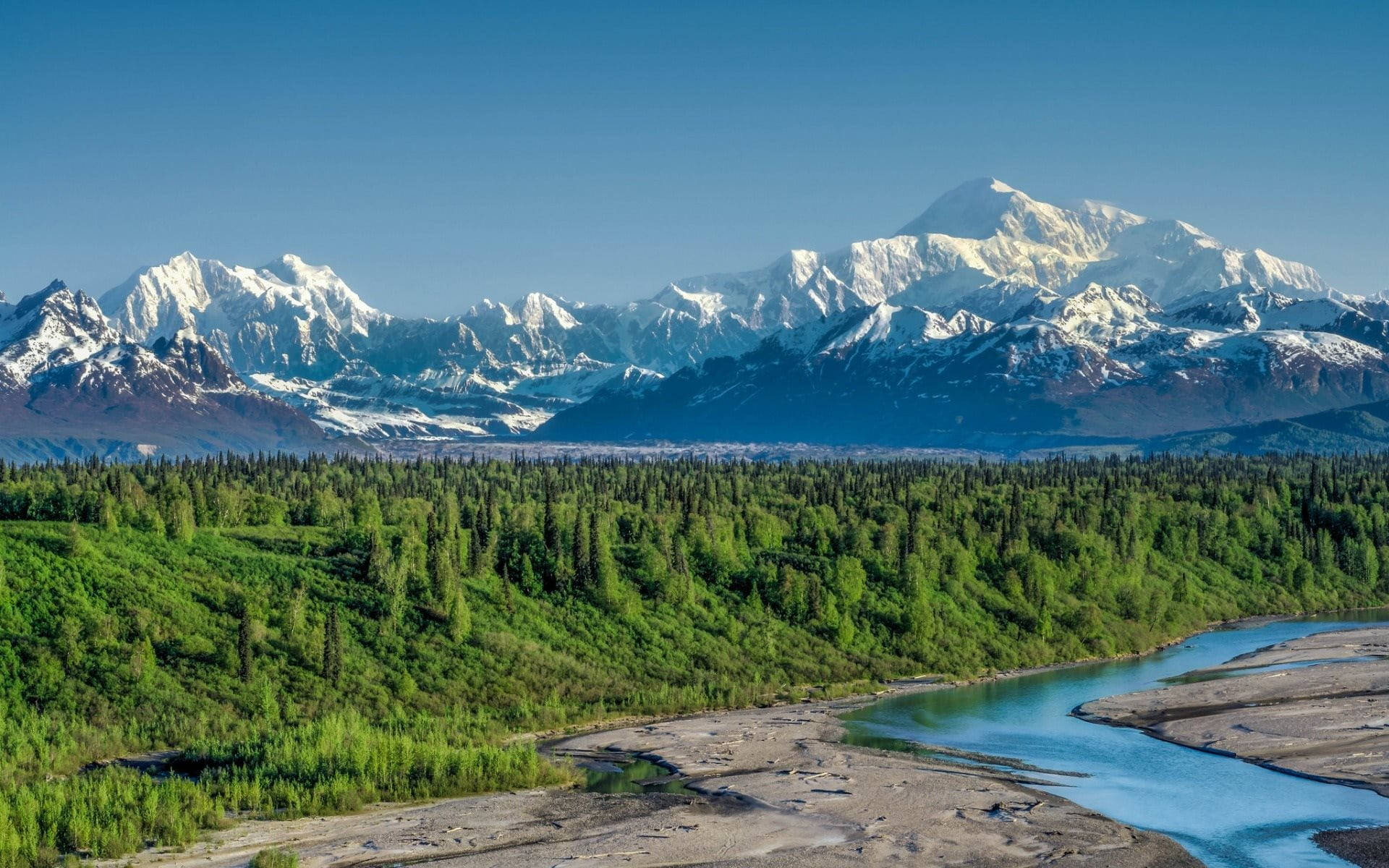 Denali, snowcapped mountain range, vibrant green forest, Full HD Desktop Wallpaper