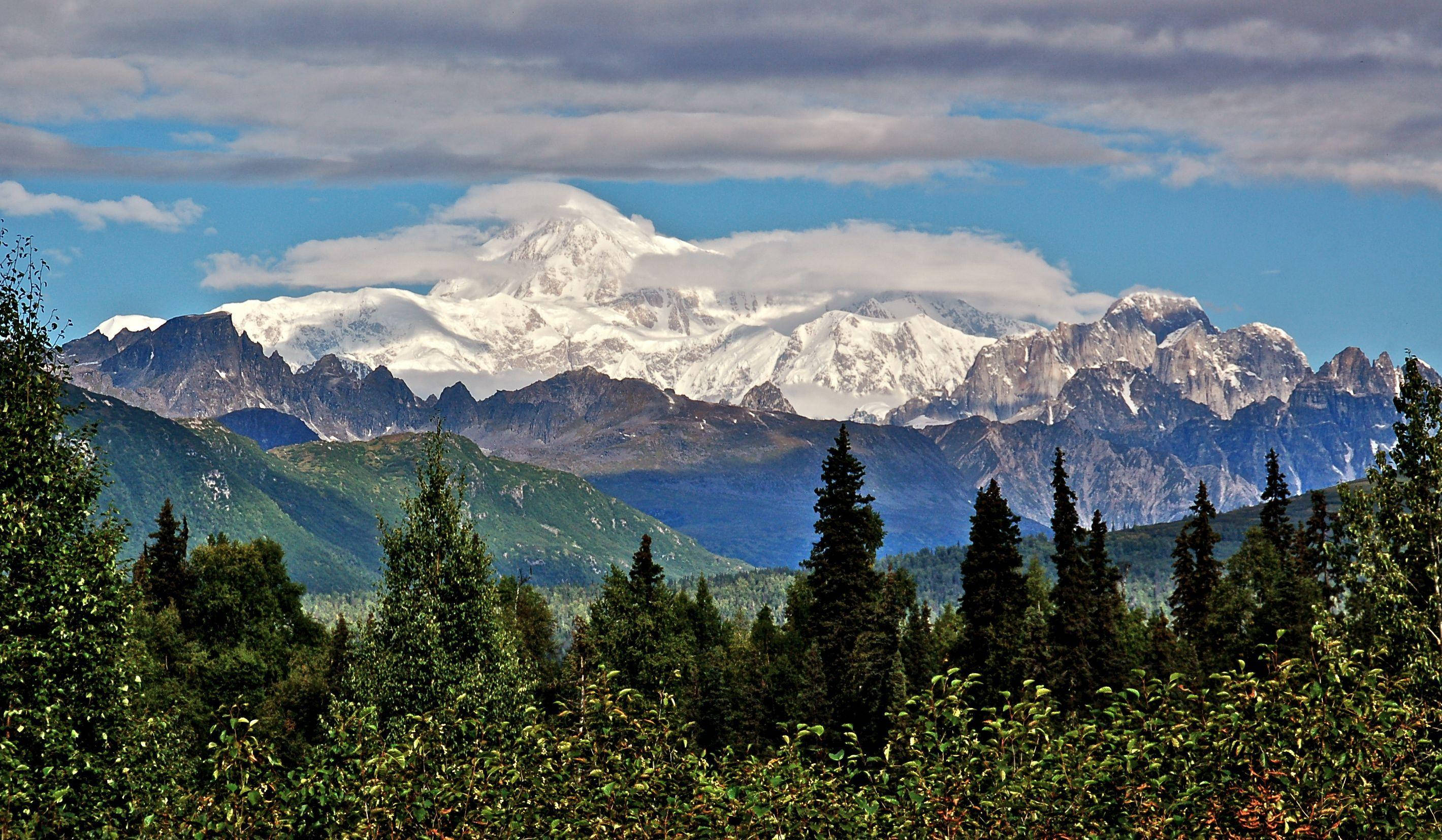Denali, green forest, snow-capped mountain range, 2K Desktop Wallpaper