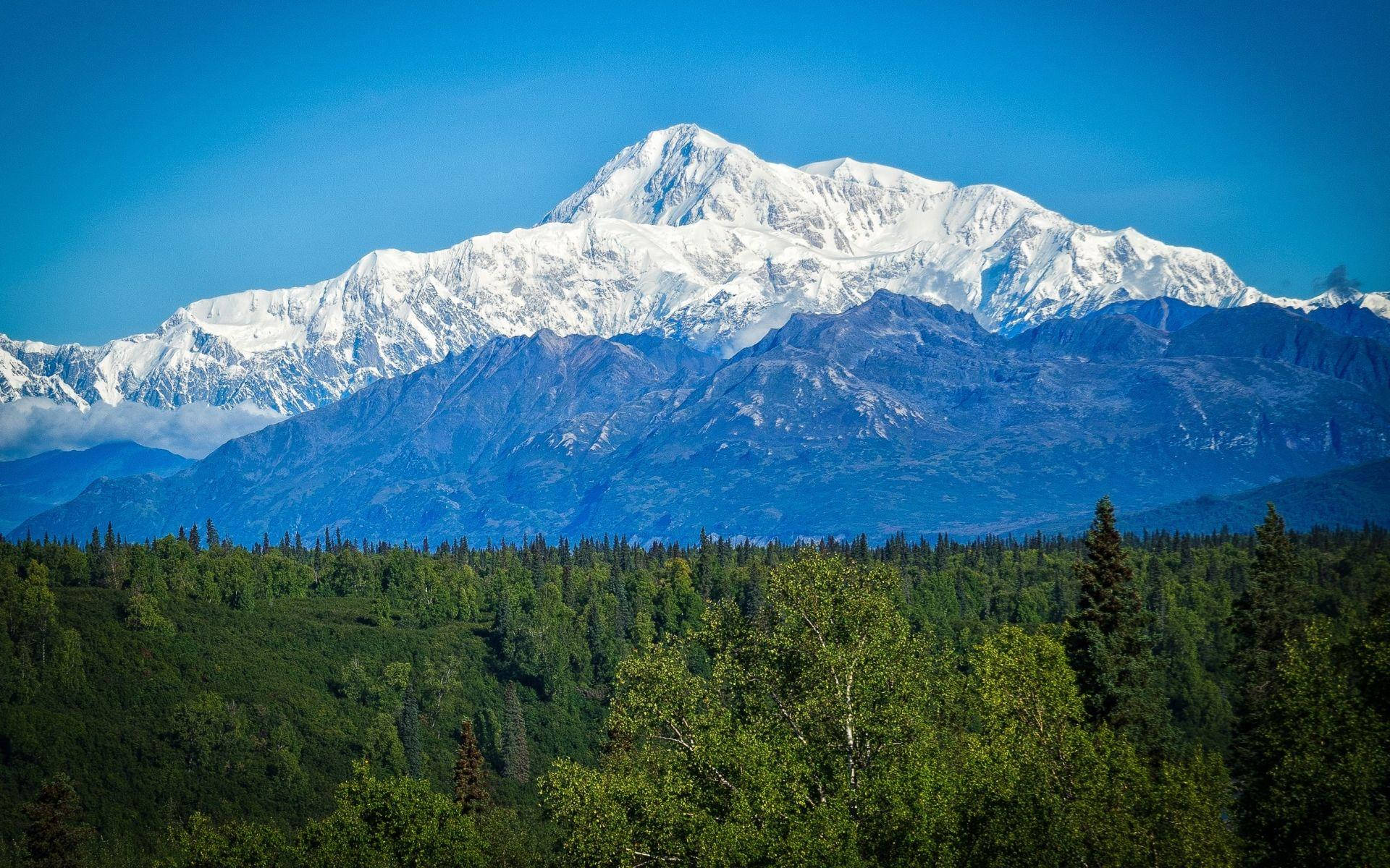 Denali, vast green forest, snow-capped mountain range, Full HD Desktop Wallpaper