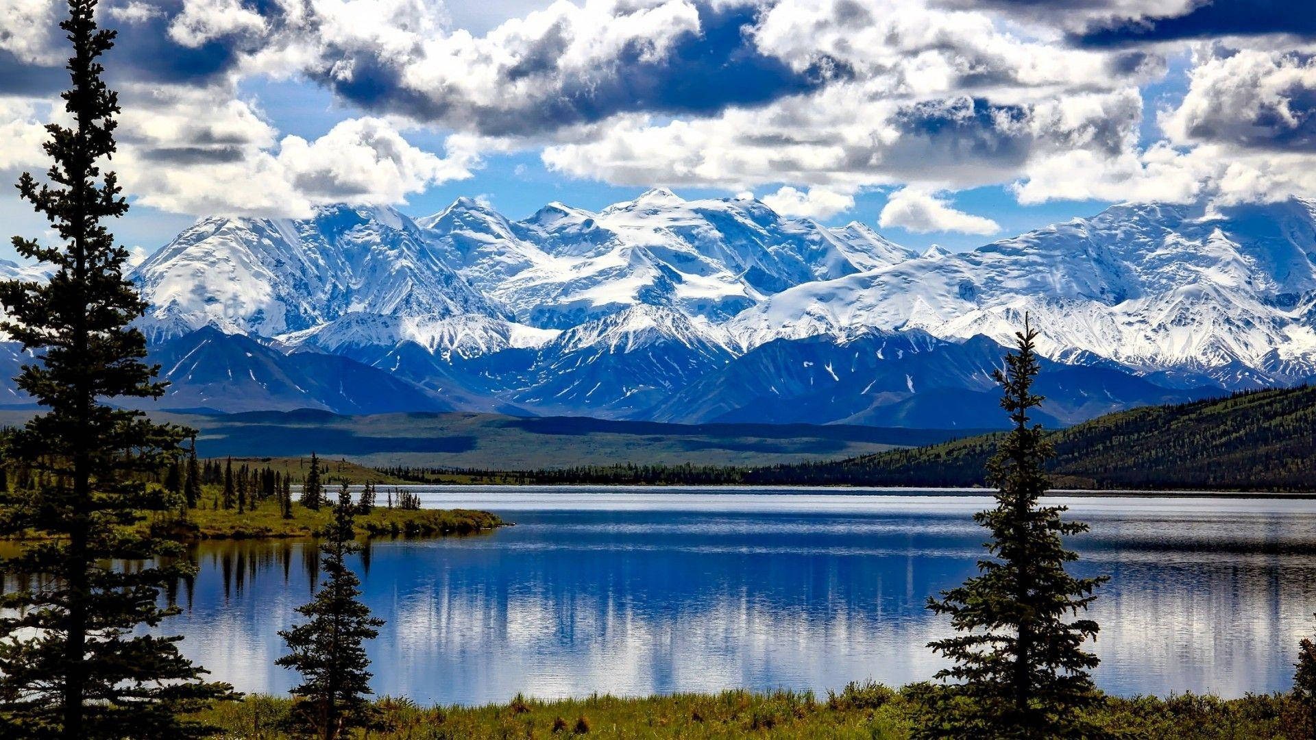Denali, calm blue lake, evergreen trees, Full HD Desktop Wallpaper