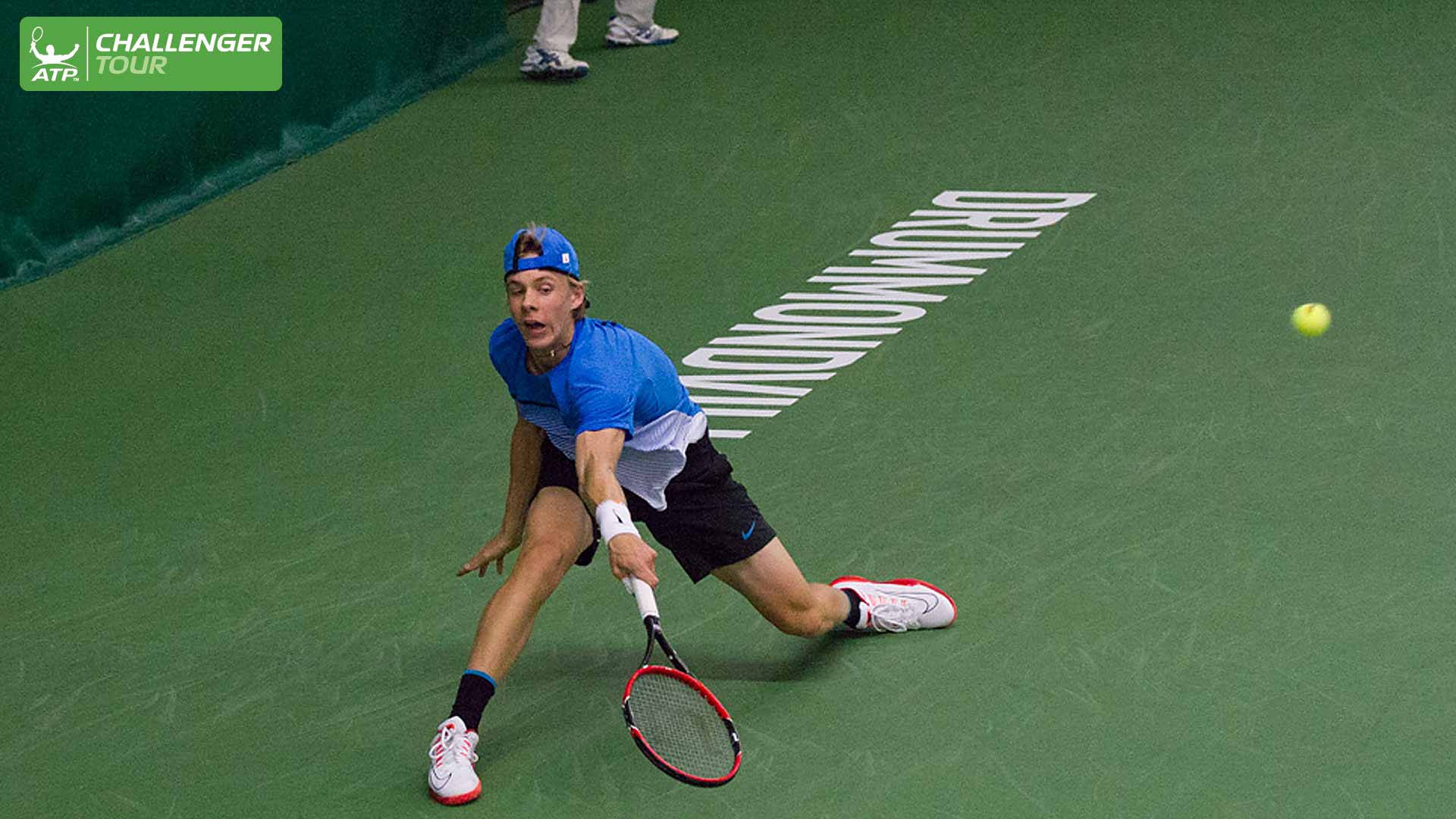 Denis Shapovalov, tennis player, green court, Full HD Desktop Wallpaper