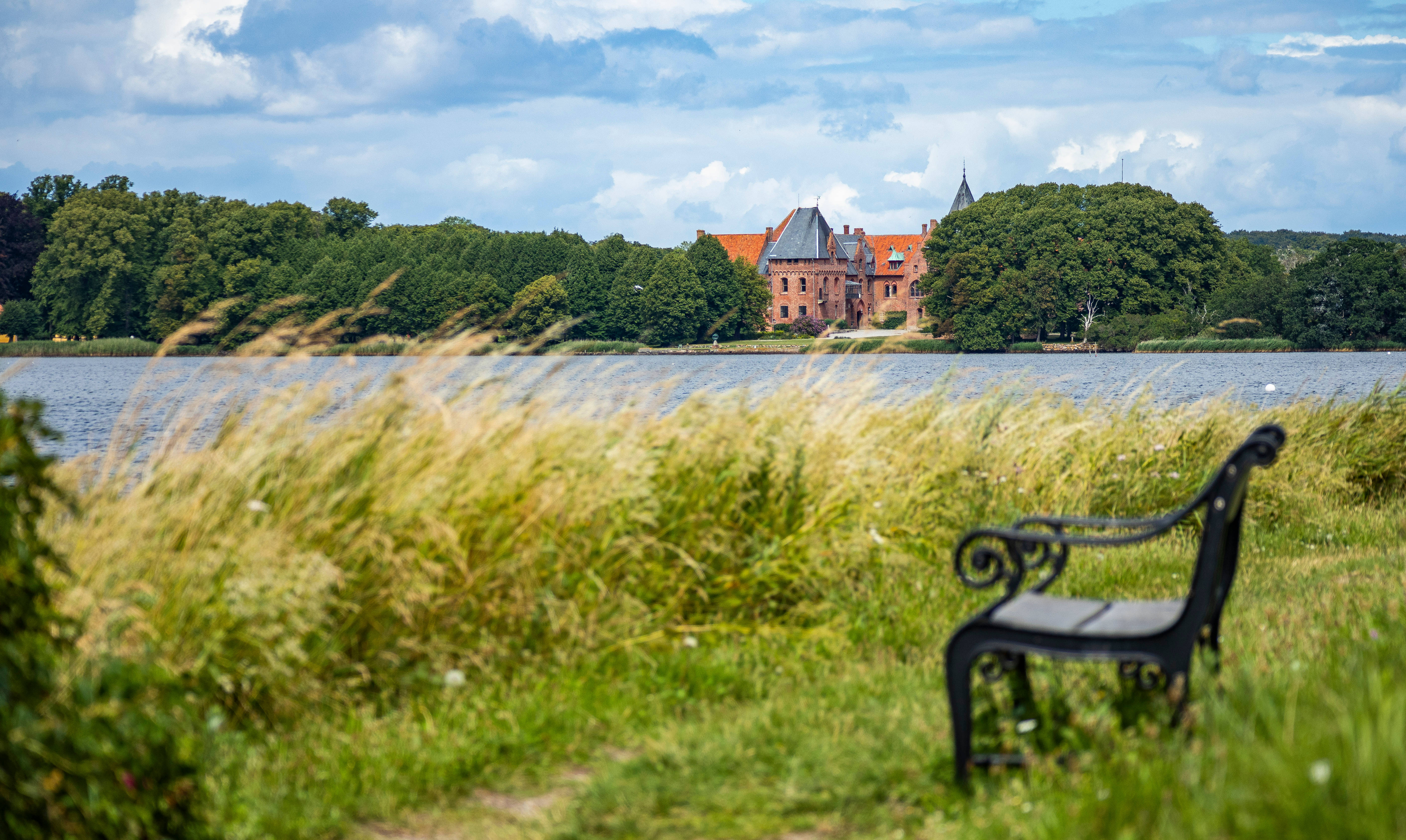 black wrought iron bench, tall golden grass, calm lake, 5K Desktop Wallpaper