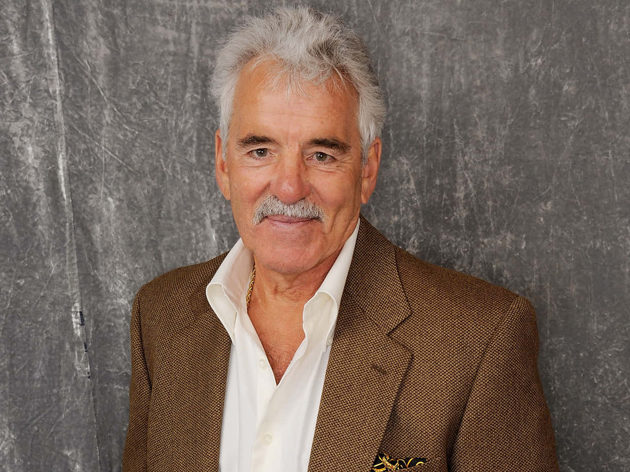 Dennis Farina, gray hair, mustache, HD Desktop Wallpaper