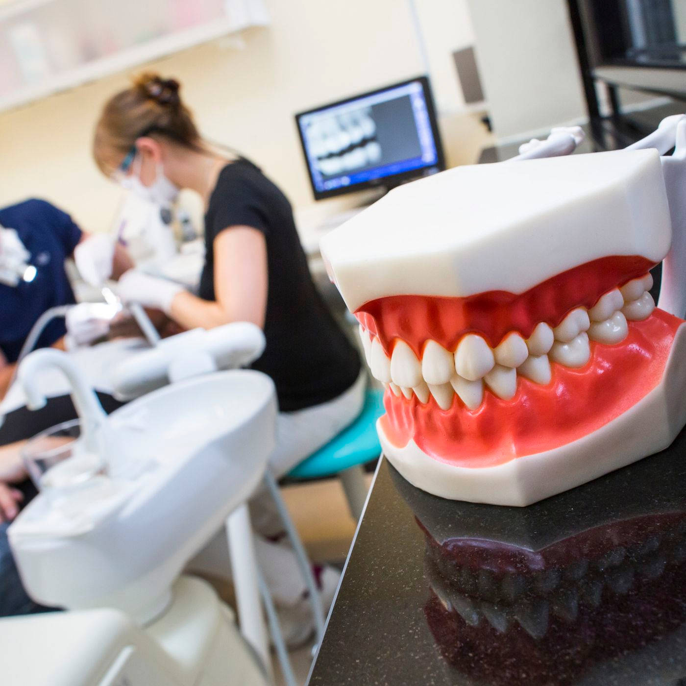 dentist's teeth model, red gums, white teeth, HD Desktop Wallpaper