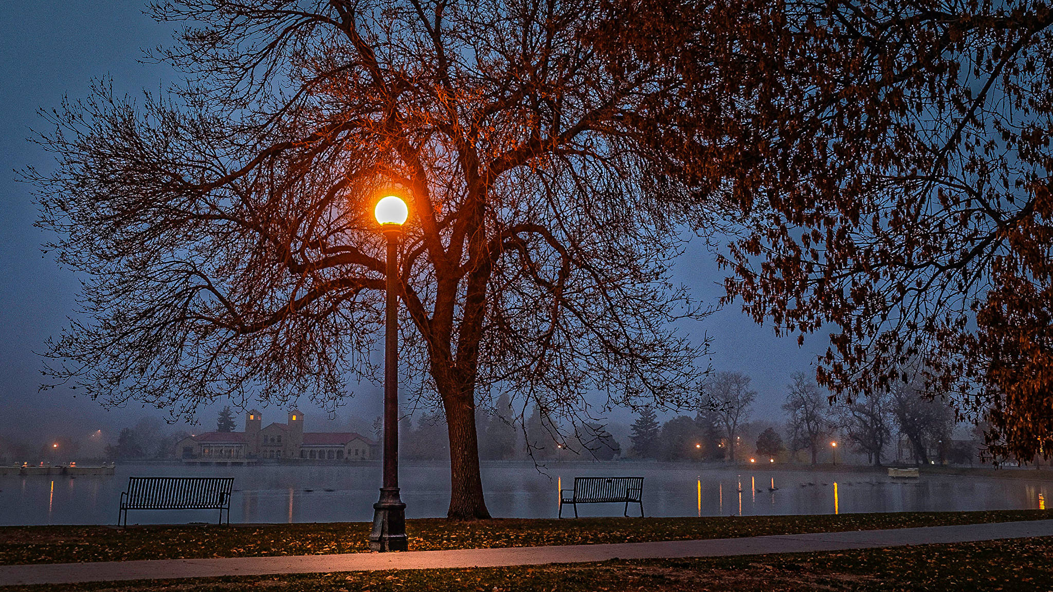 Denver, streetlamp, misty lake, Full HD Desktop Wallpaper