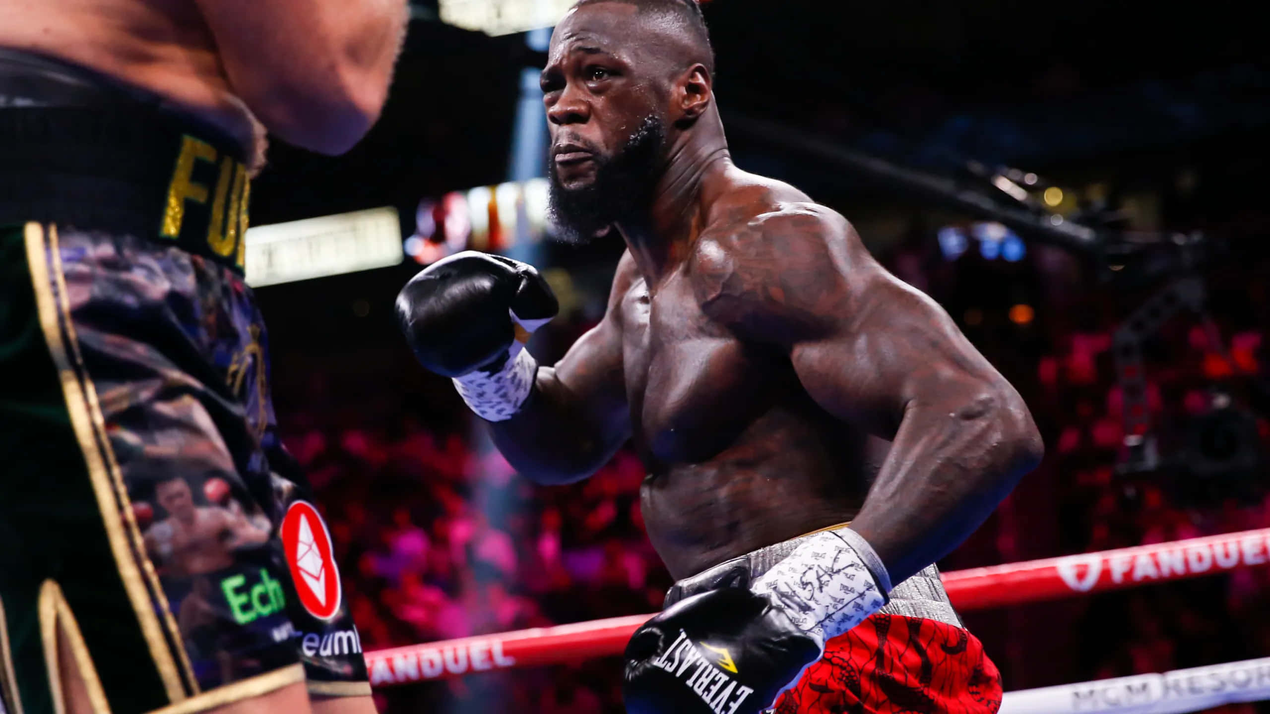 Deontay Wilder, black gloves, red trunks, 2K Desktop Wallpaper