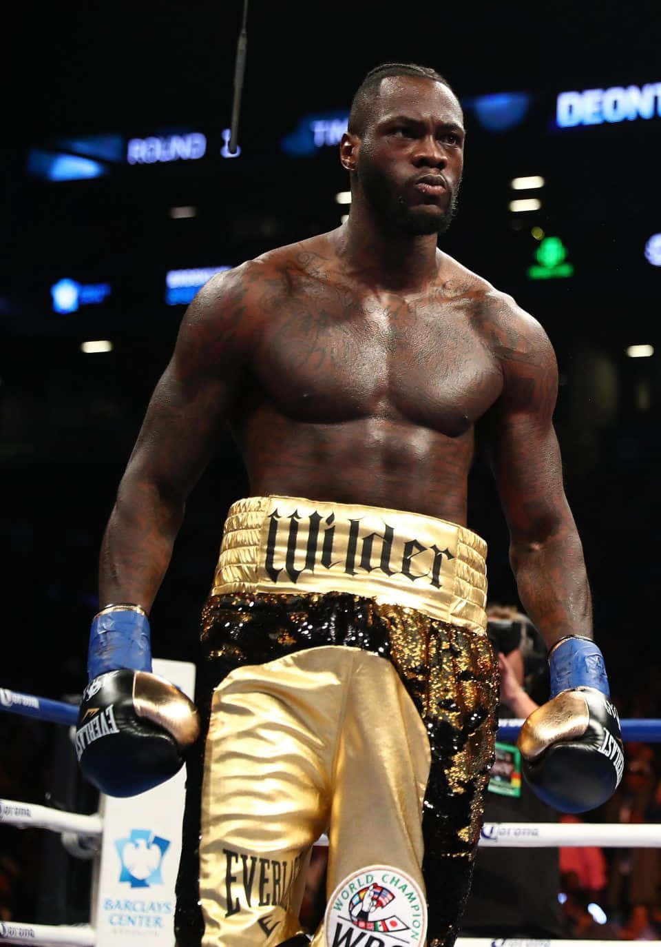 Deontay Wilder, gold sequined trunks, blue gloves, HD Phone Wallpaper