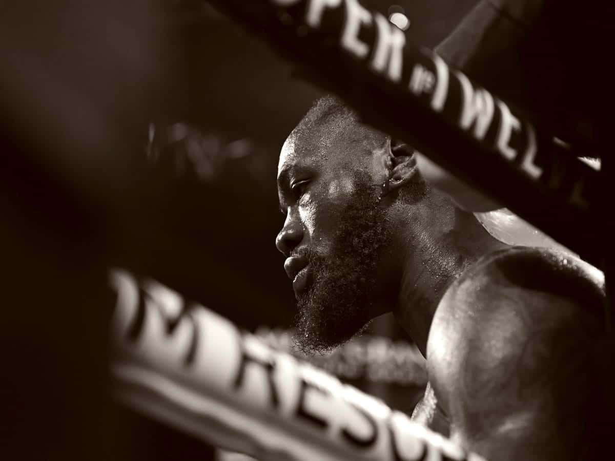 Deontay Wilder, ringside, dimly lit ring, SD Desktop Wallpaper