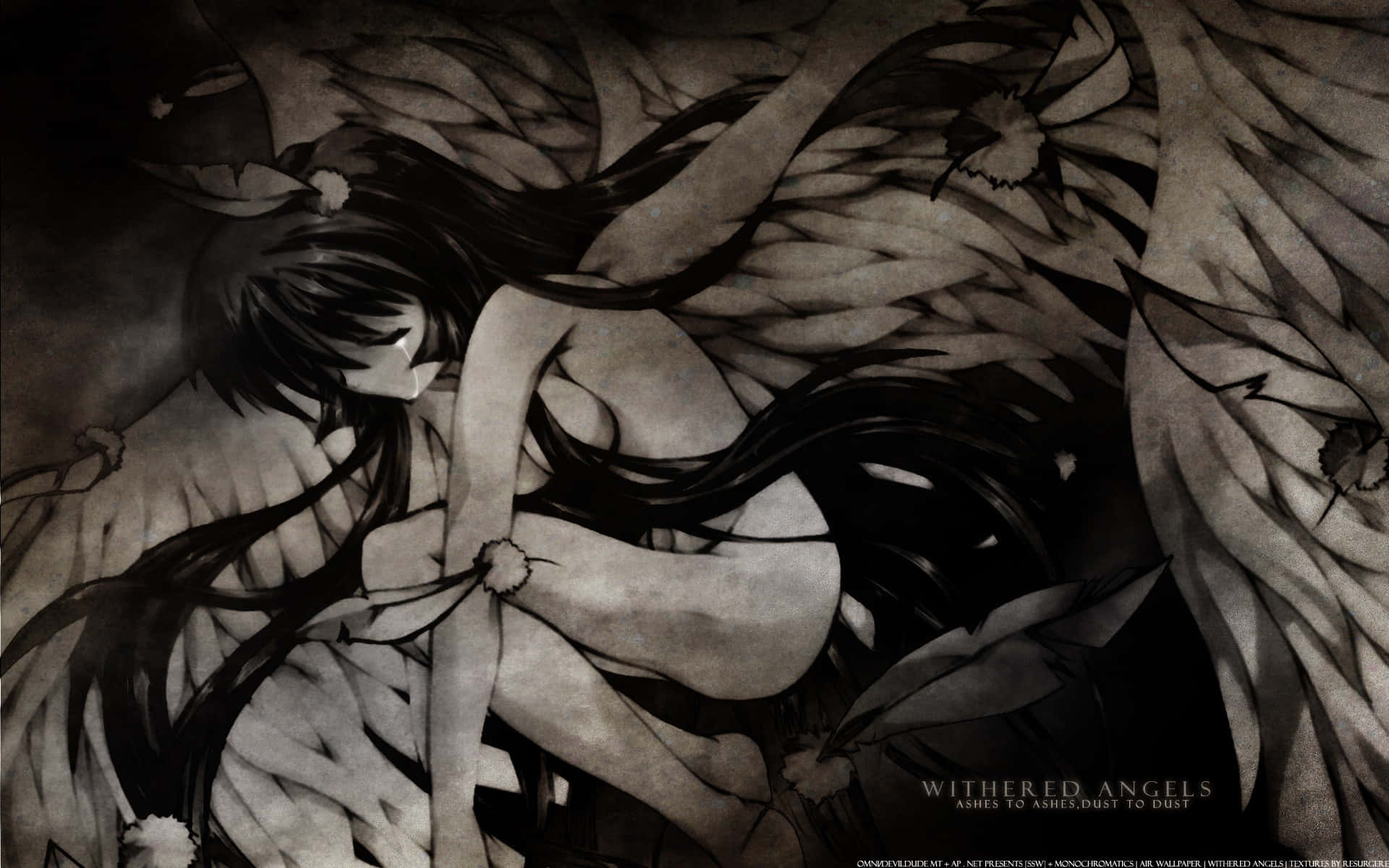 anime girl, long black hair, feathered wings, Full HD Desktop Wallpaper