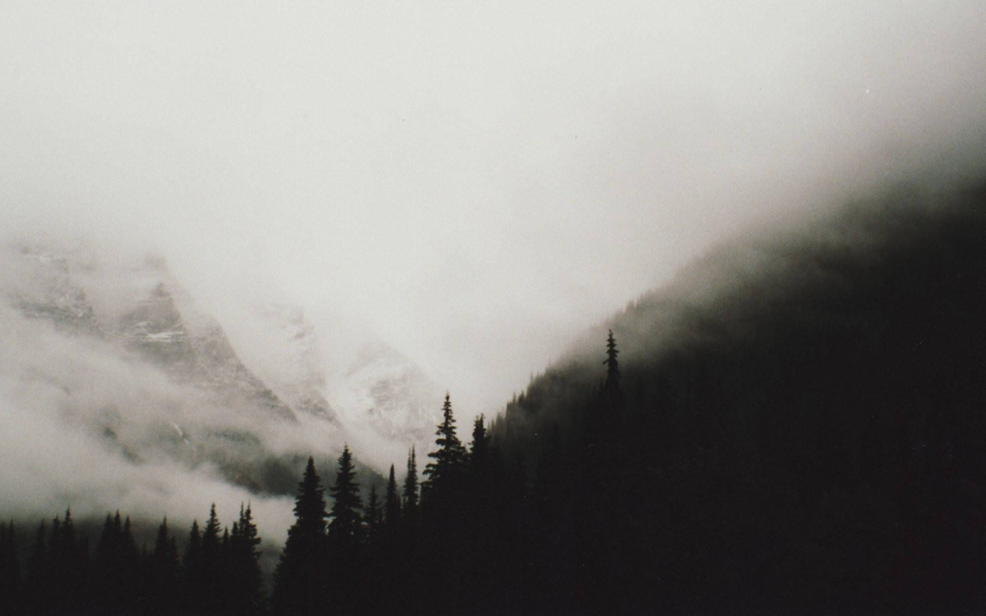 Misty mountains, dense forest of dark evergreens, overcast sky, Full HD Desktop Wallpaper