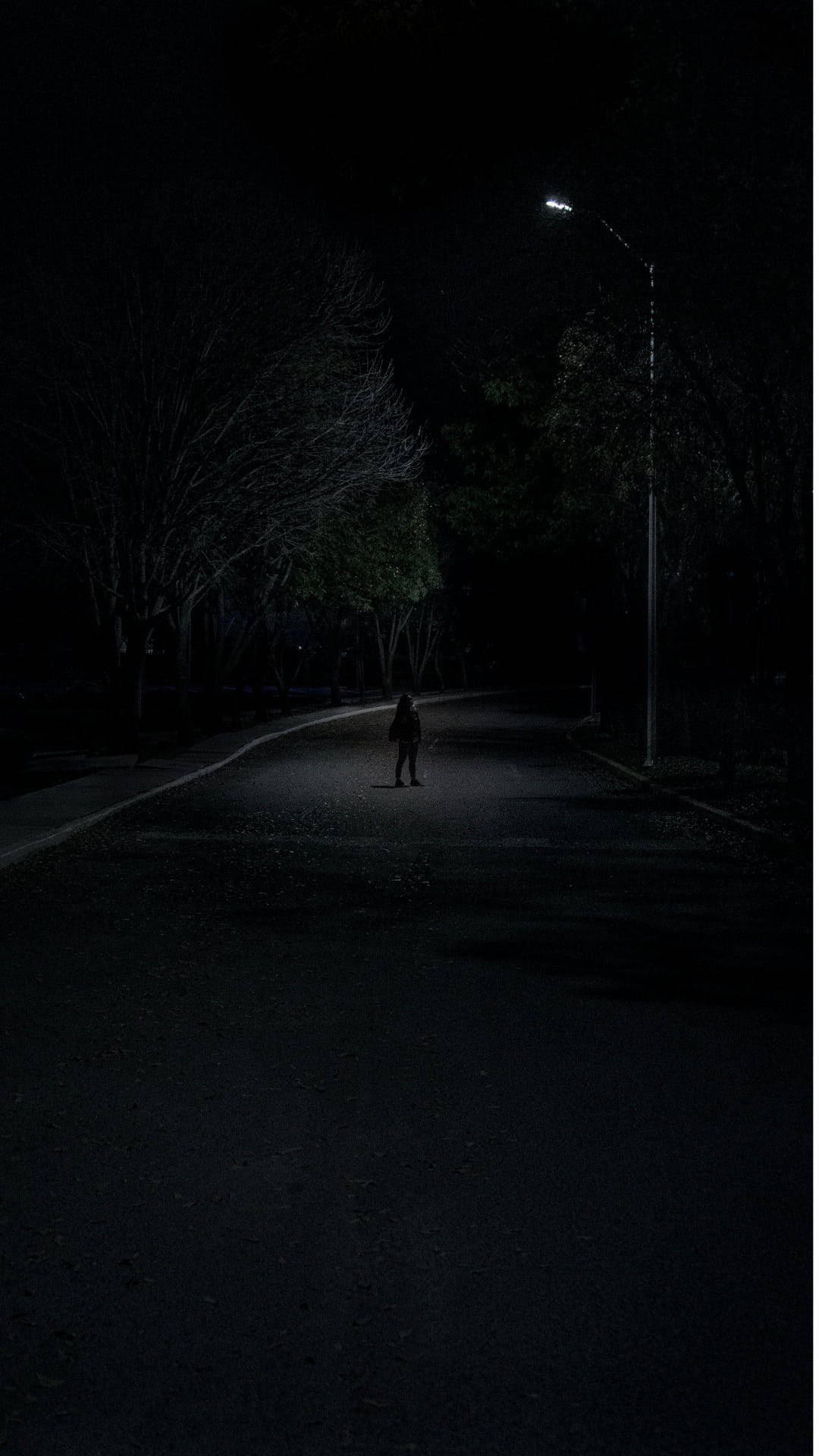 Depression Aesthetic, lonely road, dark tree-lined street, Full HD Phone Wallpaper
