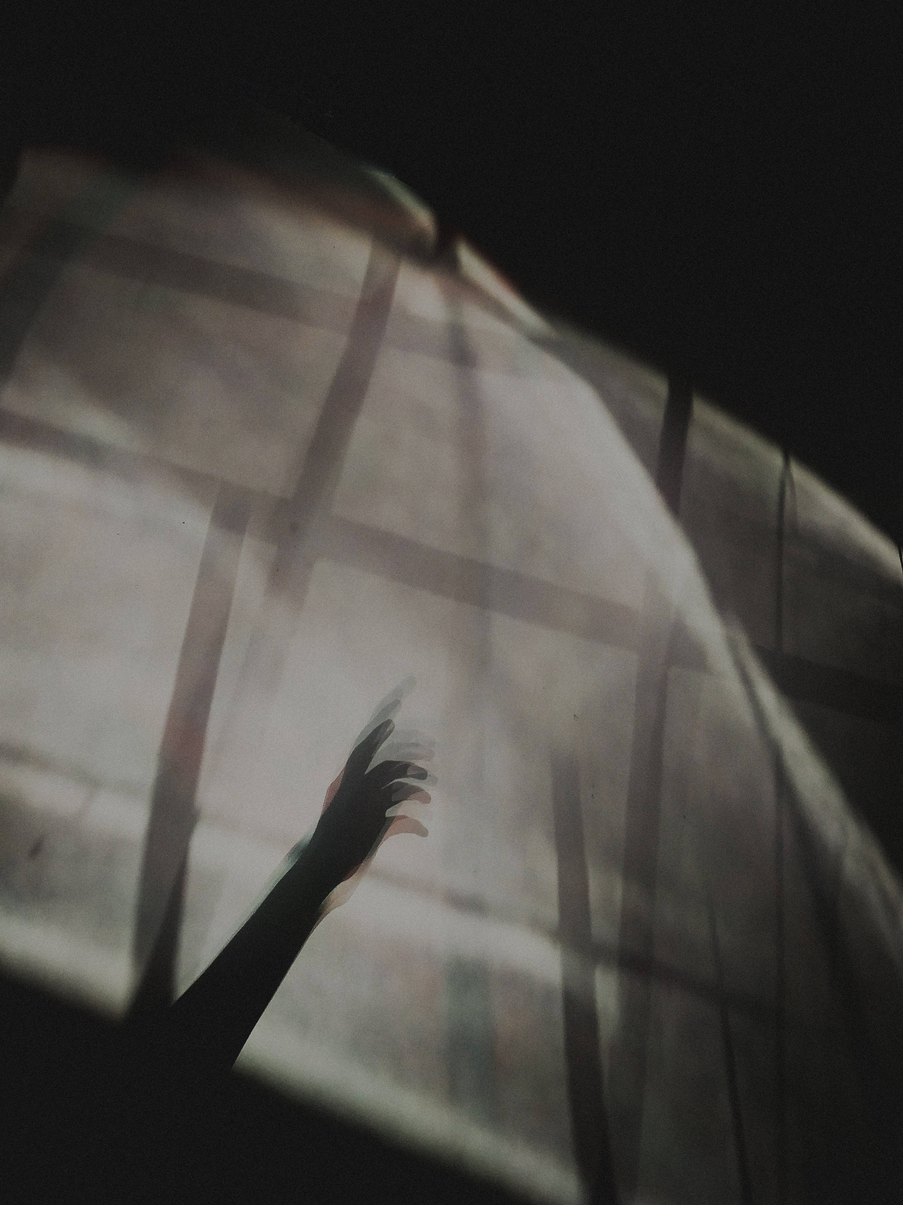 silhouetted hand, soft light, sheer curtain, 4K Phone Wallpaper