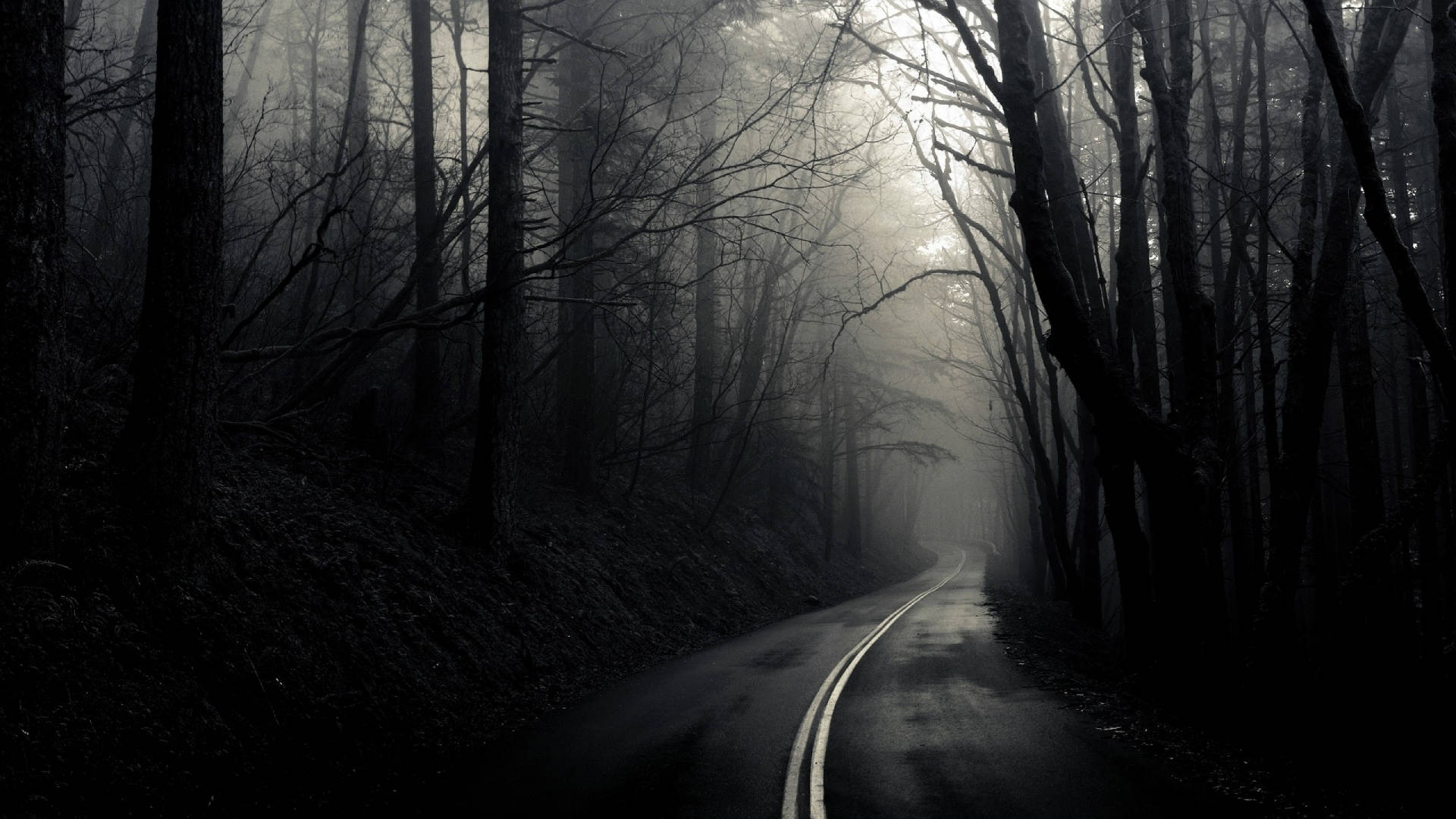 Dark Woods Of Depression, winding road, misty forest, Full HD Desktop Wallpaper