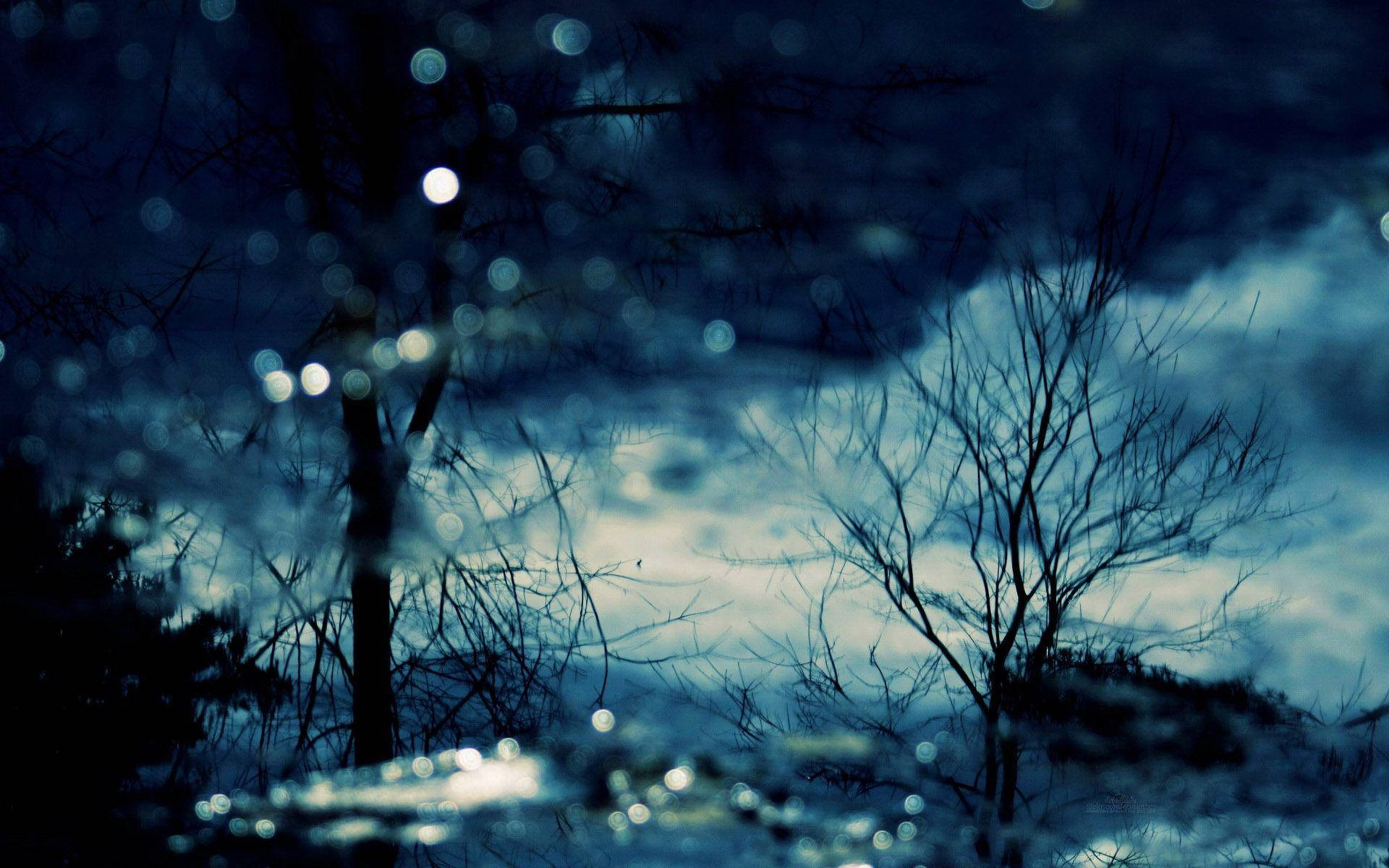 icy forest, moody blue twilight sky, bare trees, Full HD Desktop Wallpaper