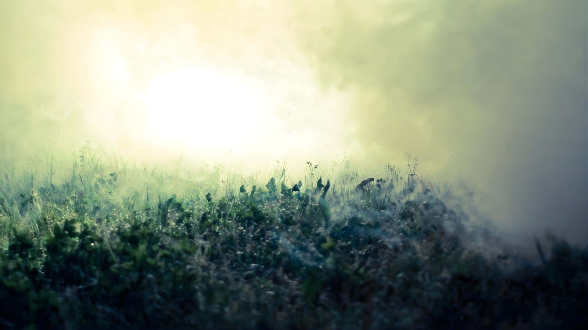 Foggy Morning, sunlight, mist, Full HD Desktop Wallpaper