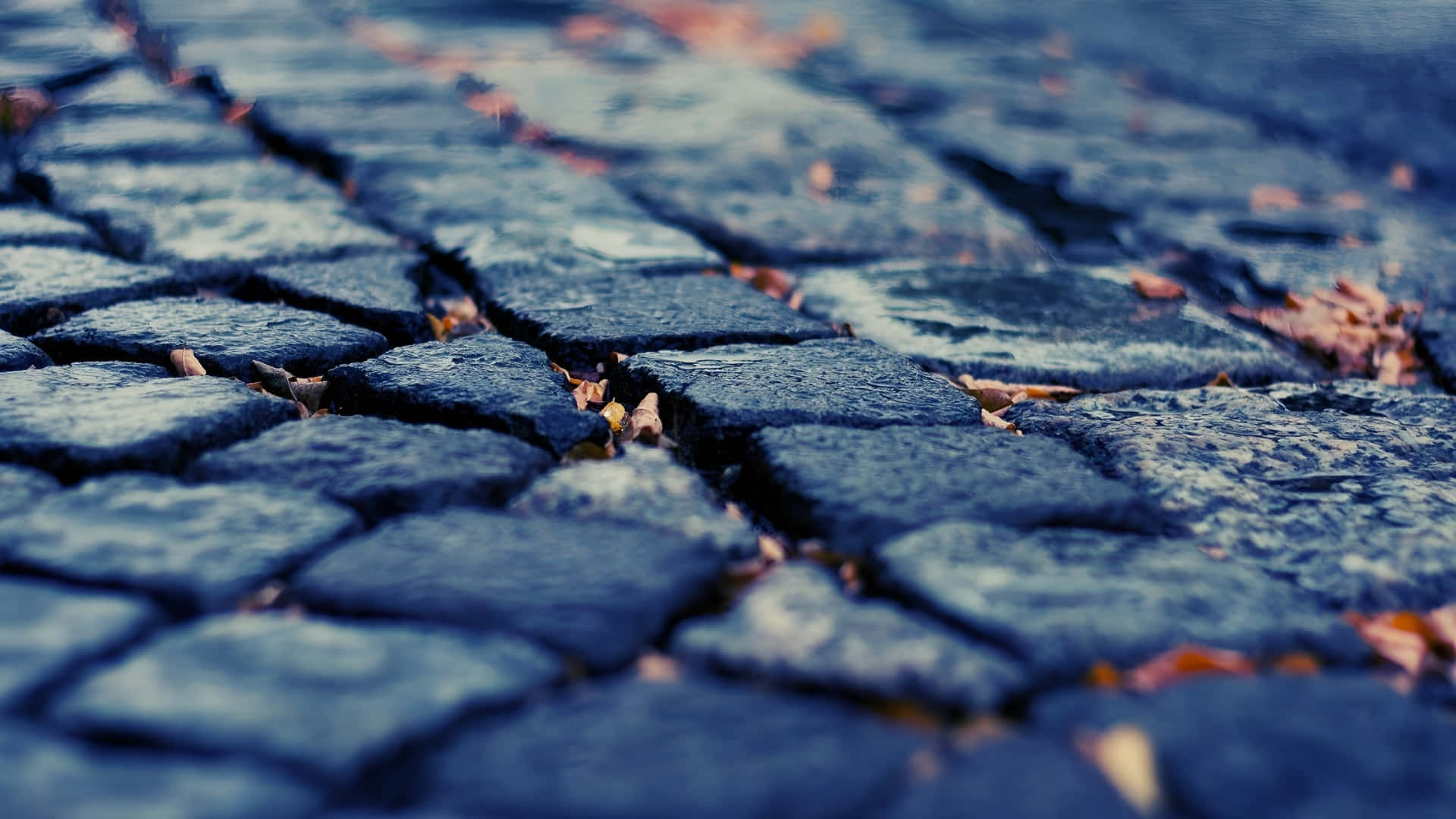 cobblestone path, cool blue tones, autumn leaves, Full HD Desktop Wallpaper
