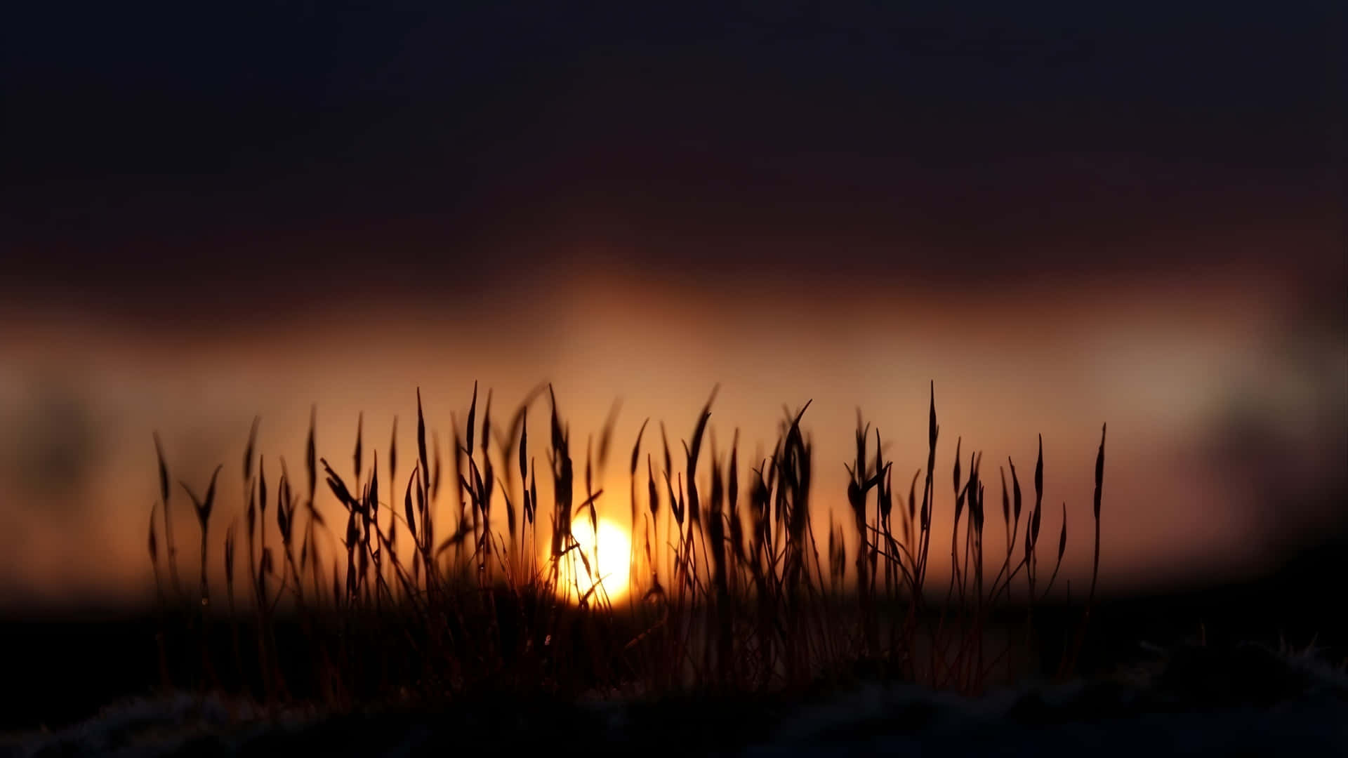 sunset, silhouettes, glowing sun, Full HD Desktop Wallpaper
