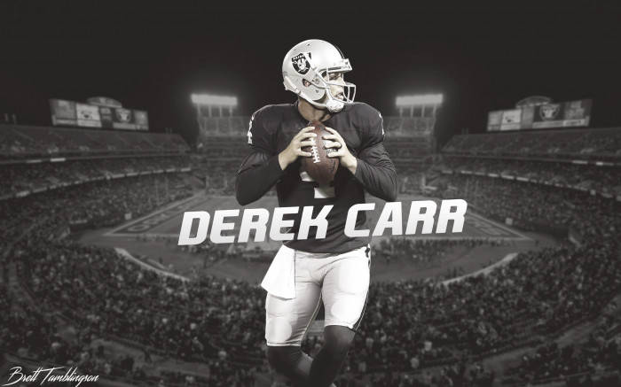 Derek Carr, stadium, helmet, SD Desktop Wallpaper