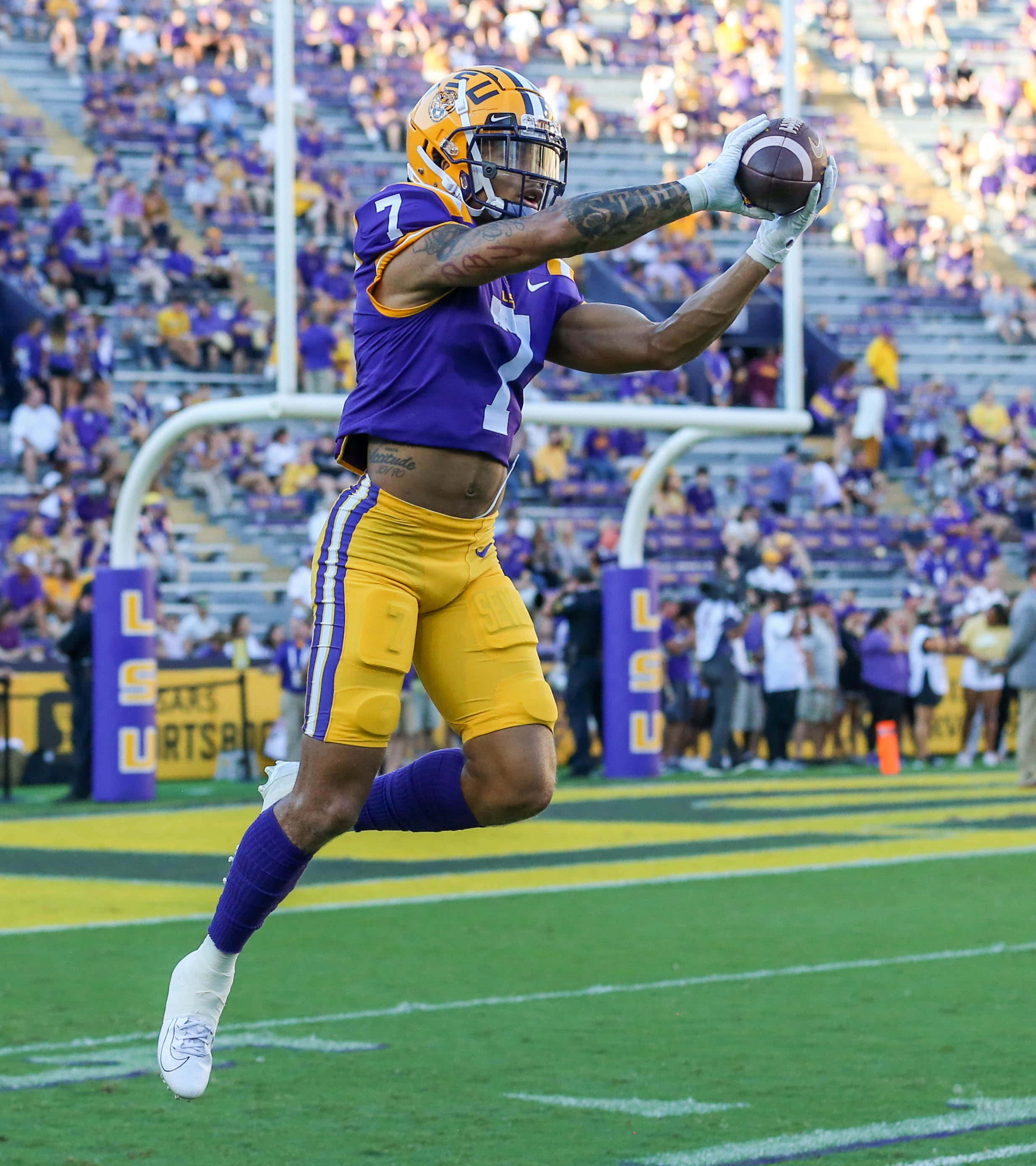 Derek Stingley Jr, purple and gold, sunlit field, 2K Phone Wallpaper