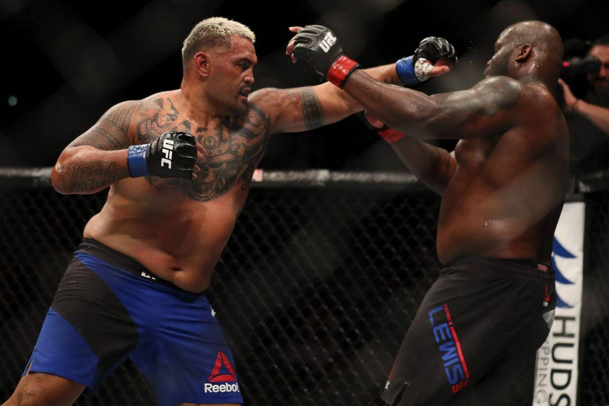 Derrick Lewis, MMA fighters, cage, SD Desktop Wallpaper