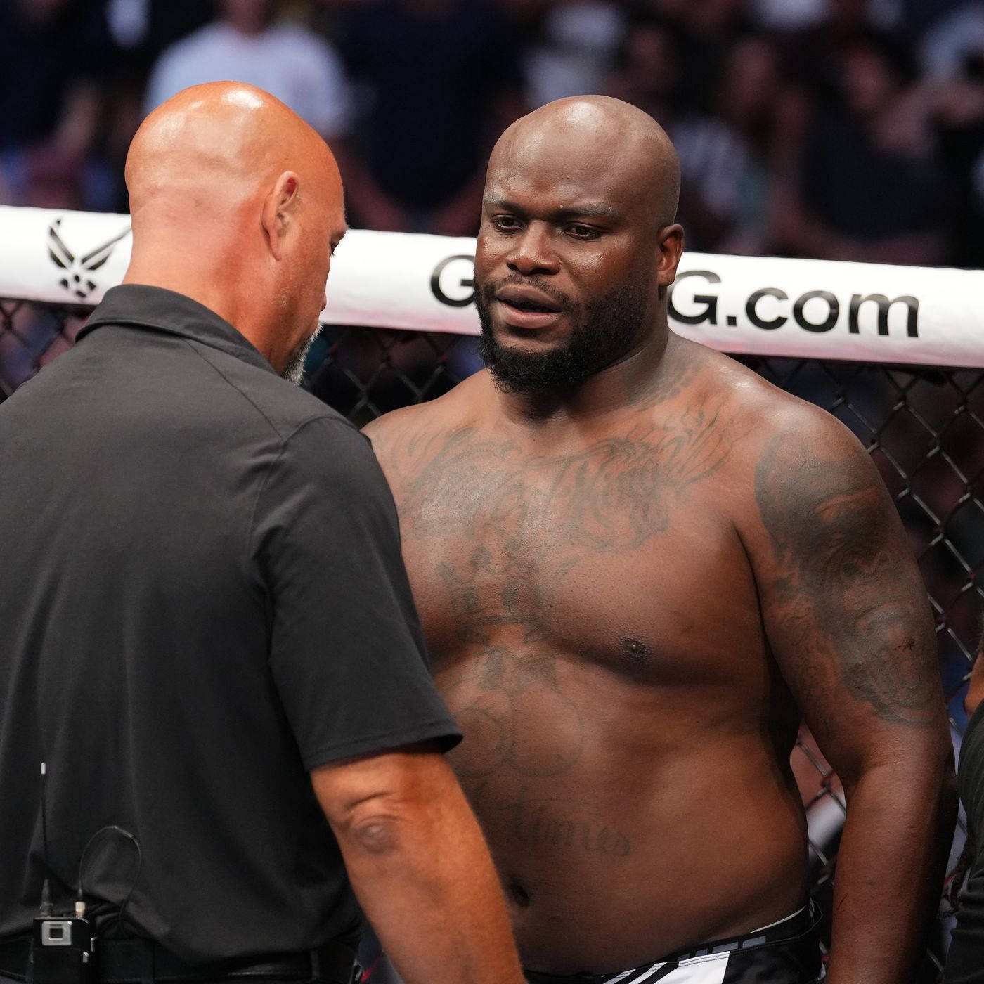 Derrick Lewis, referee, cage, HD Desktop Wallpaper