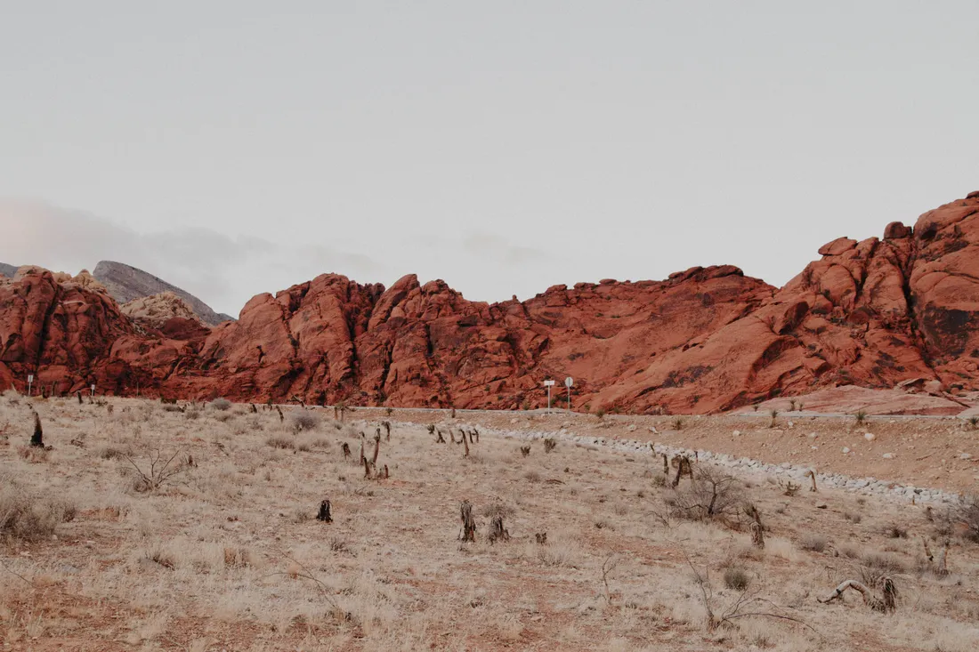 Desert Aesthetic