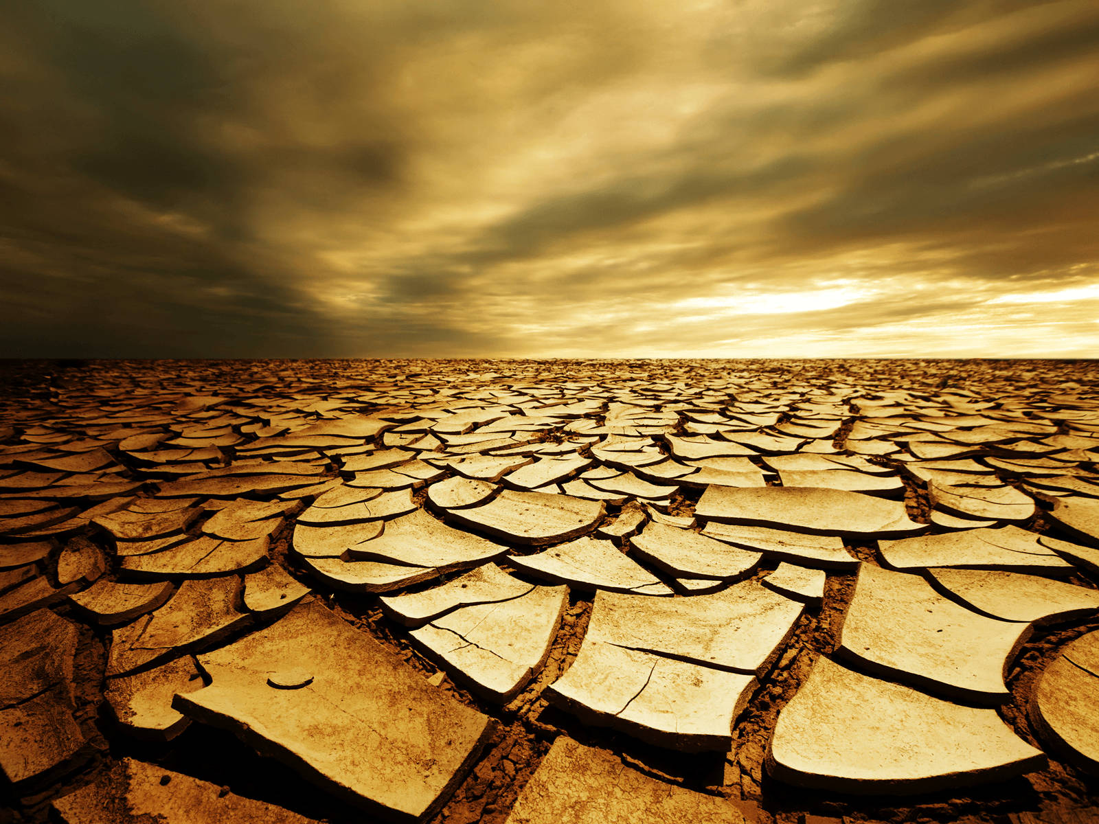 dry desert, sunset, cracked earth, HD Desktop Wallpaper