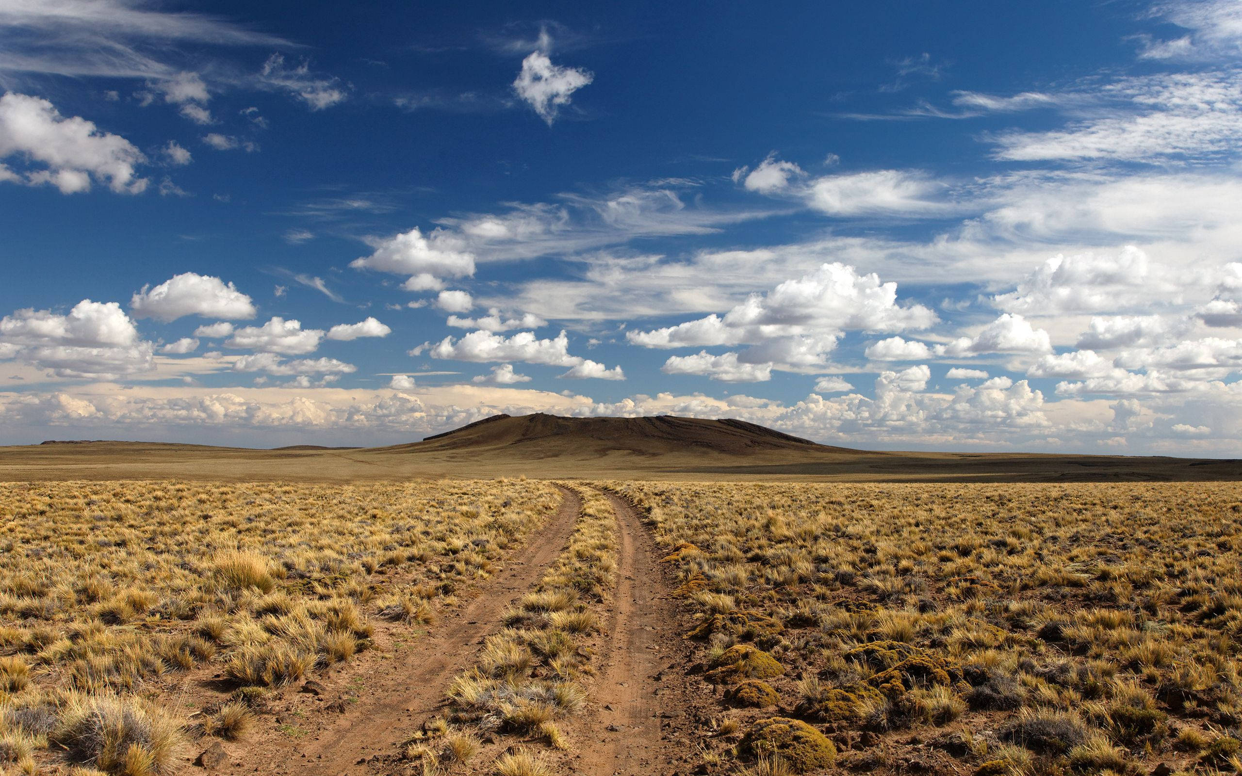 desert, winding dirt path, vast golden grassland, 2K Desktop Wallpaper