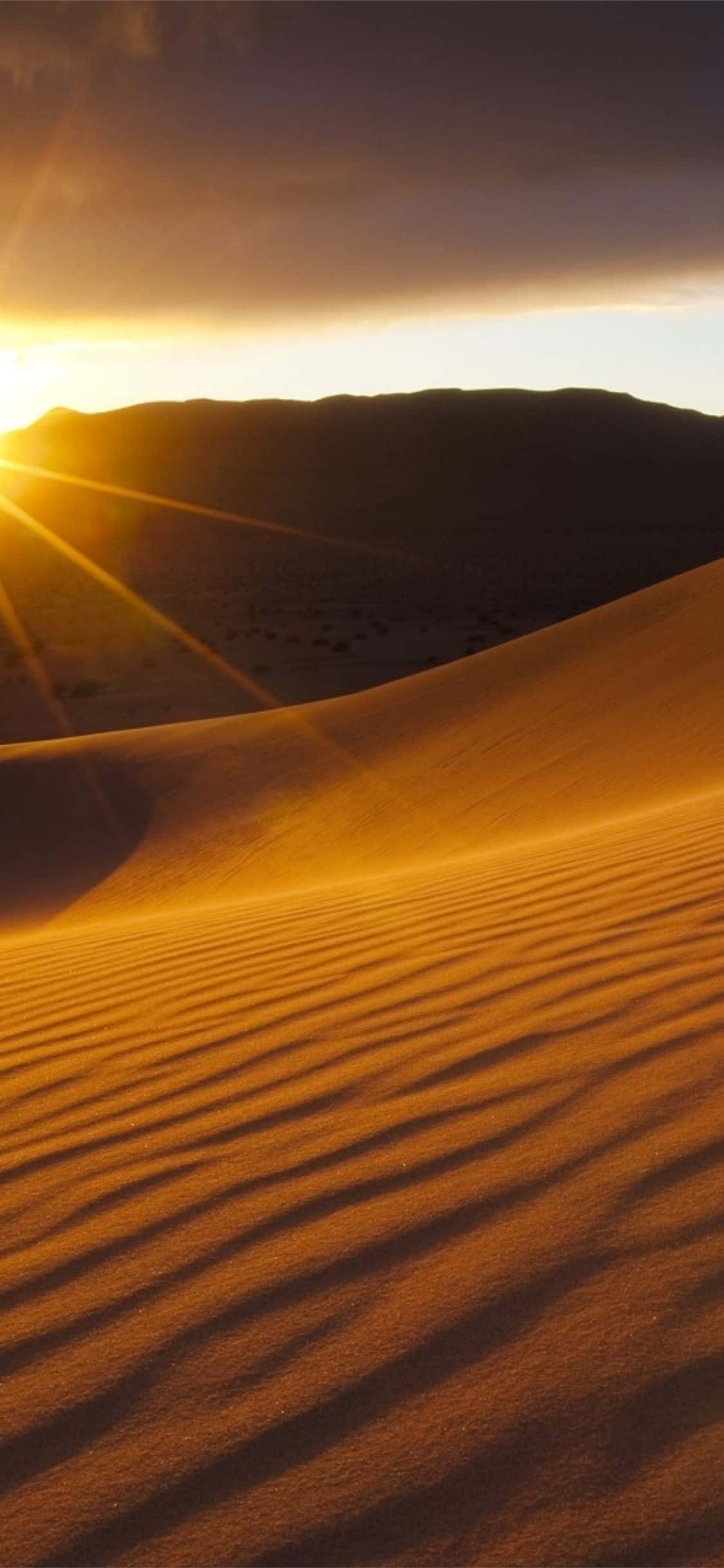 Golden Desert Sunset, sunset, golden light, Full HD Phone Wallpaper