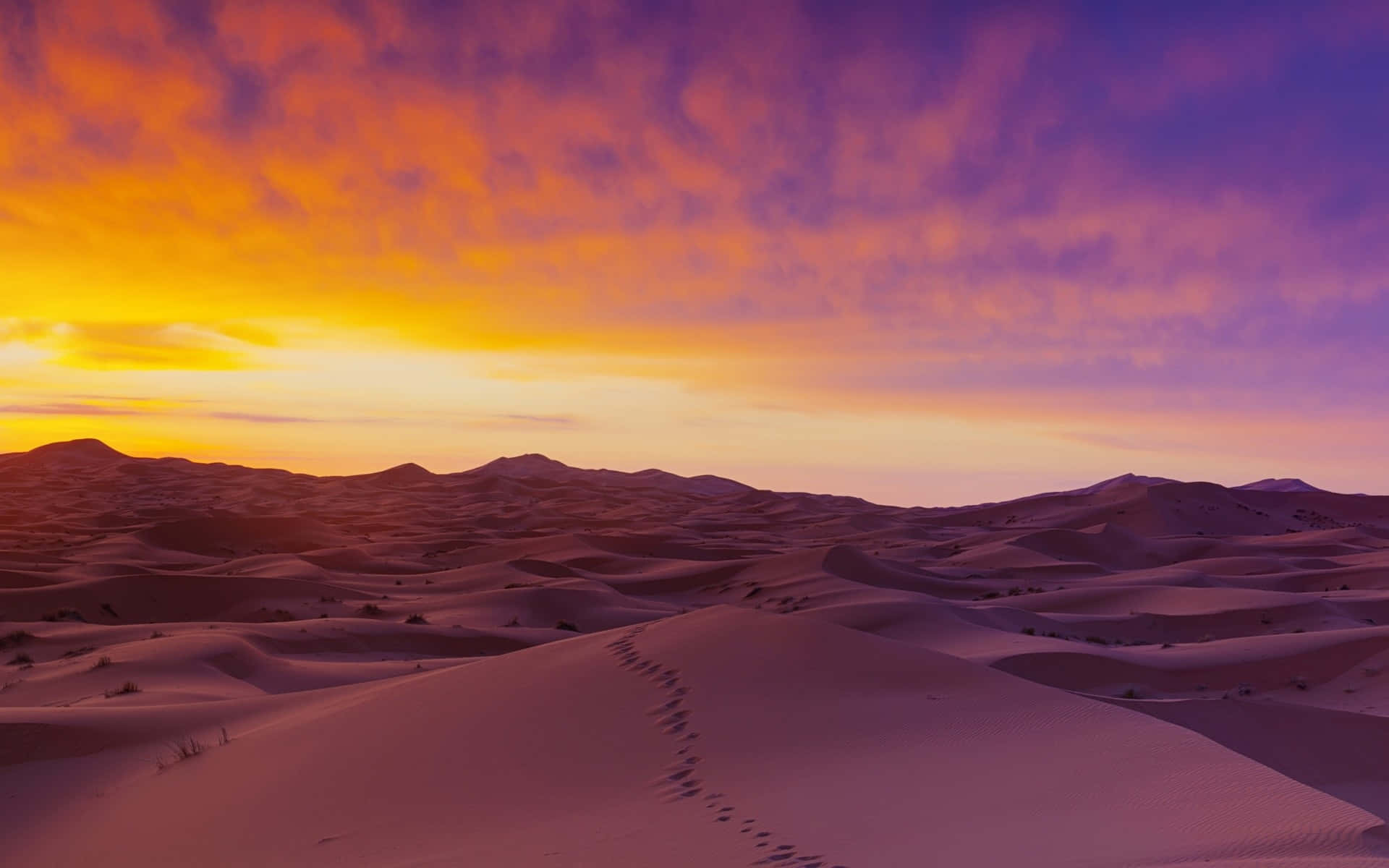 Desert Sunset Silhouette, golden dunes, fiery orange and purple sunset sky, Full HD Desktop Wallpaper