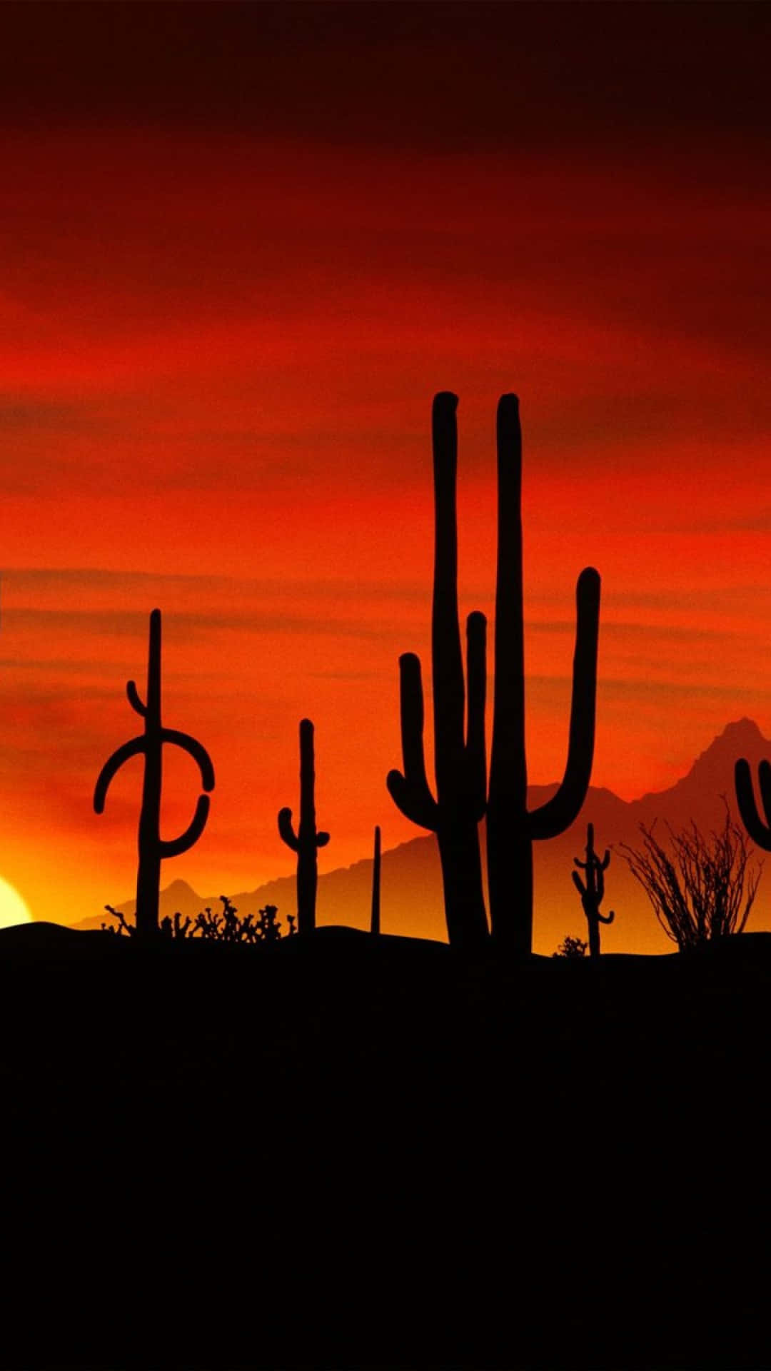 Desert iPhone, saguaro cacti, fiery orange and red desert sunset, Full HD Phone Wallpaper
