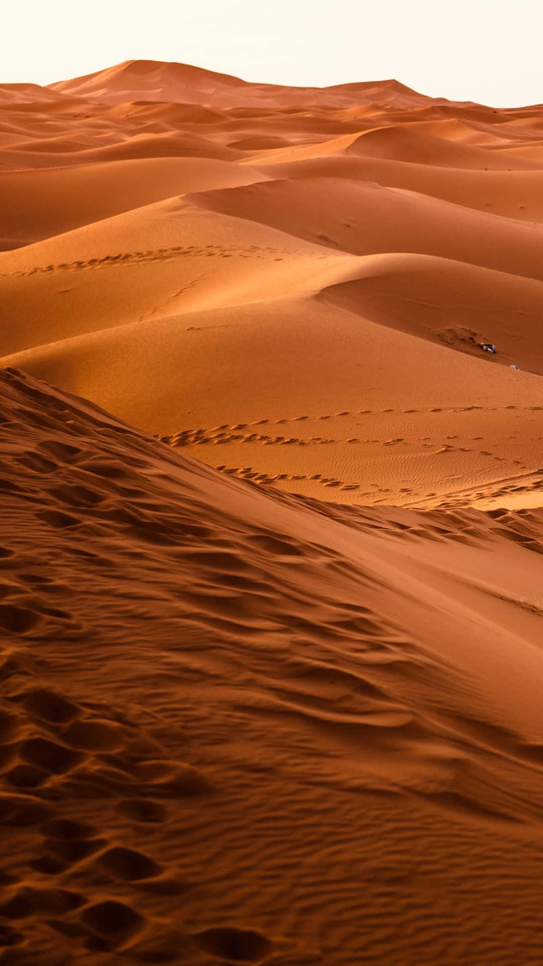 Desert iPhone, golden sand dunes, warm sunlight, Full HD Phone Wallpaper