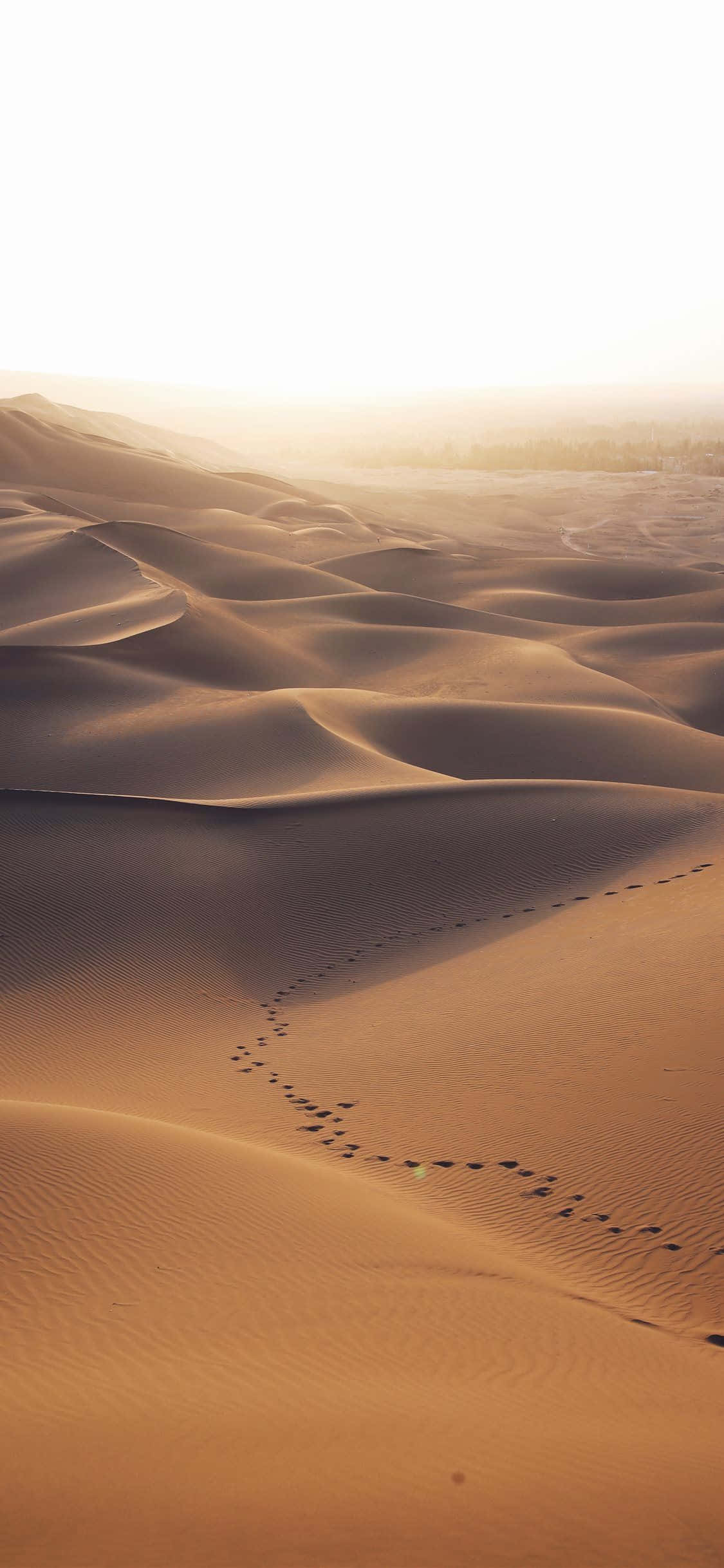 Desert iPhone, golden desert dunes, hazy sunrise sky, Full HD Phone Wallpaper