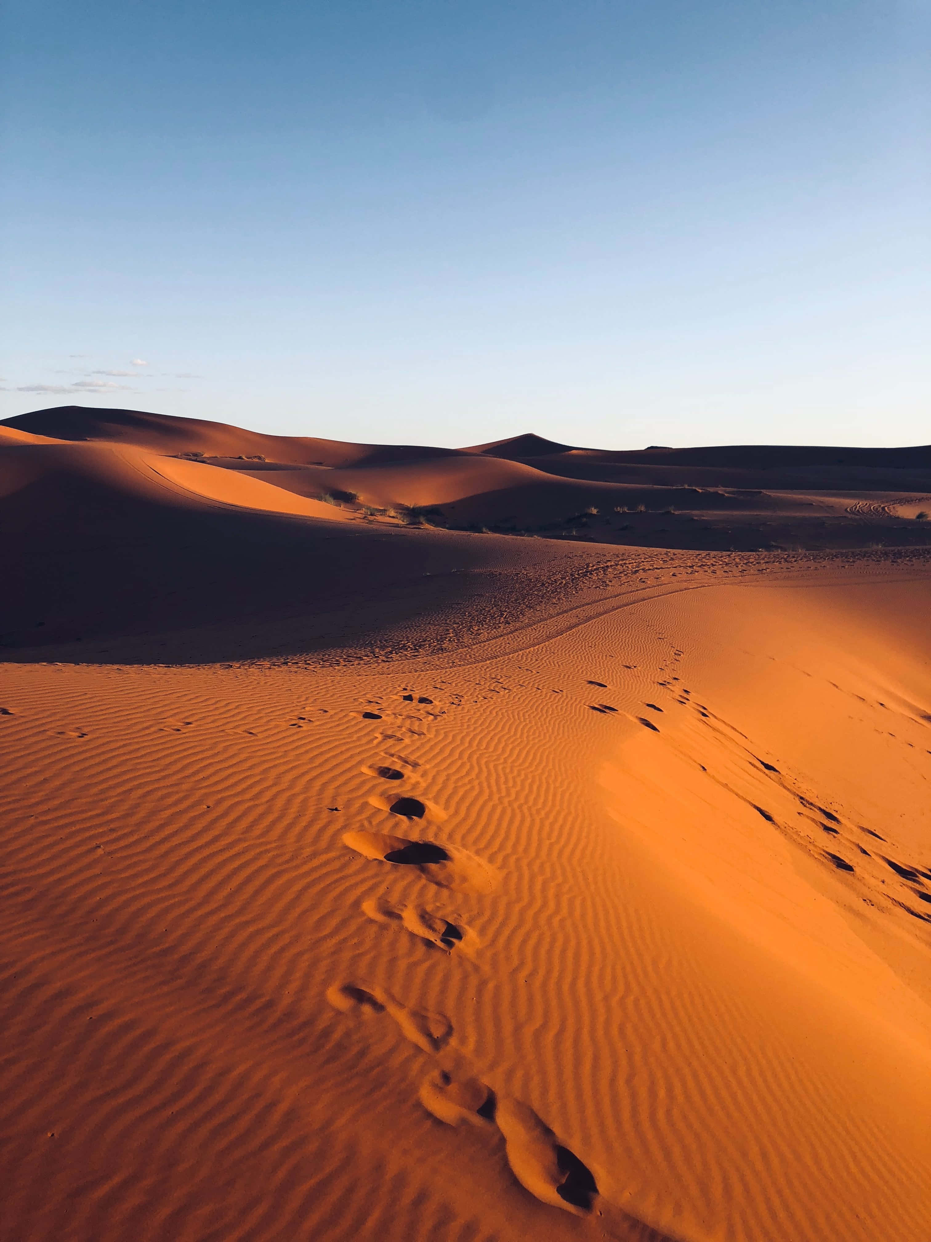 Desert iPhone, golden desert dunes, clear blue sky, 4K Phone Wallpaper