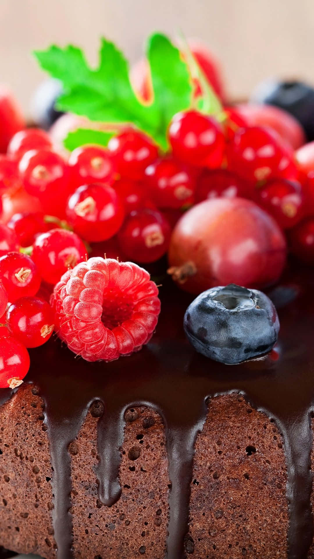dessert iPhone, chocolate cake, glossy red currants, Full HD Phone Wallpaper