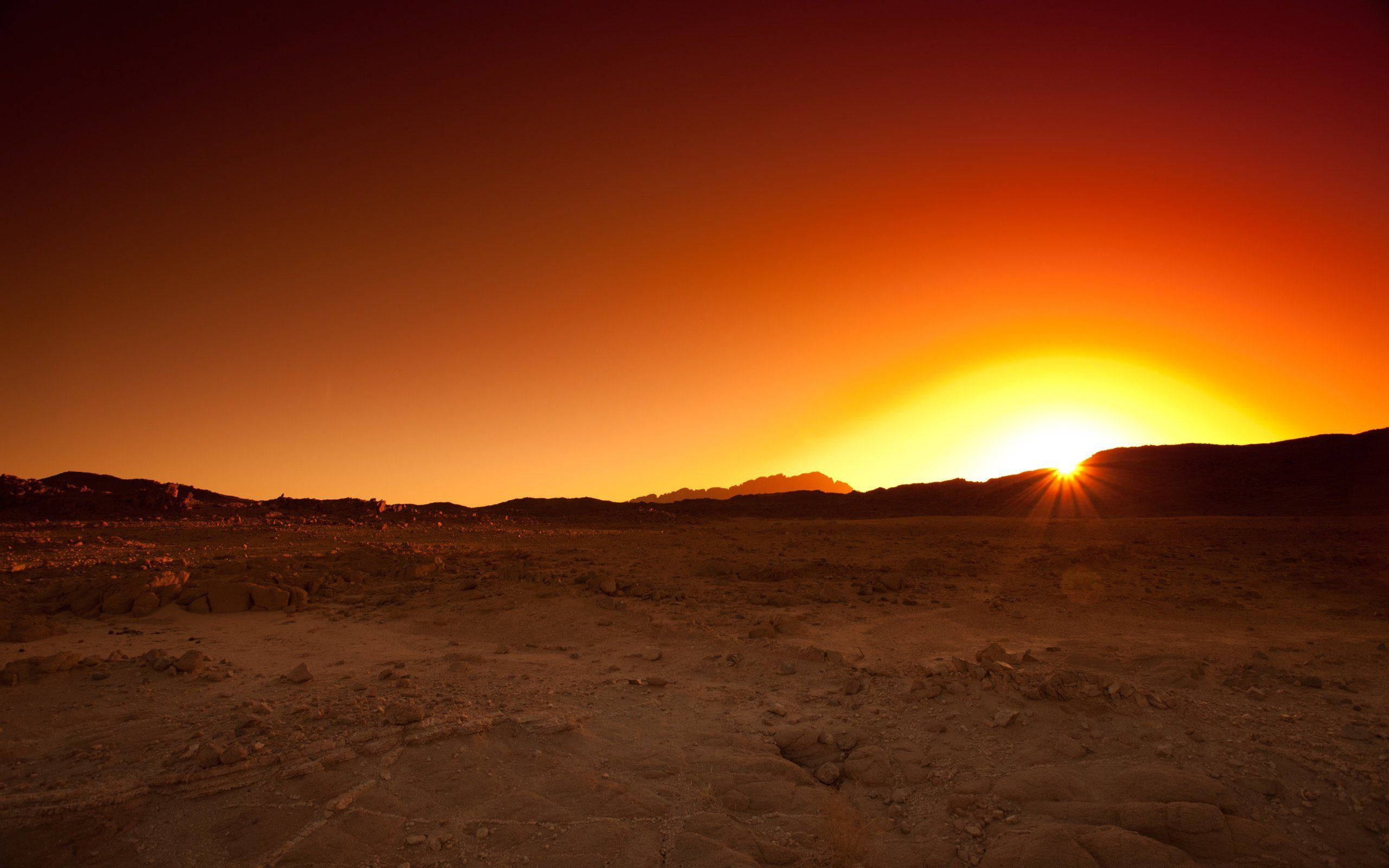 Desert Sun, horizon, fiery sunset, 2K Desktop Wallpaper