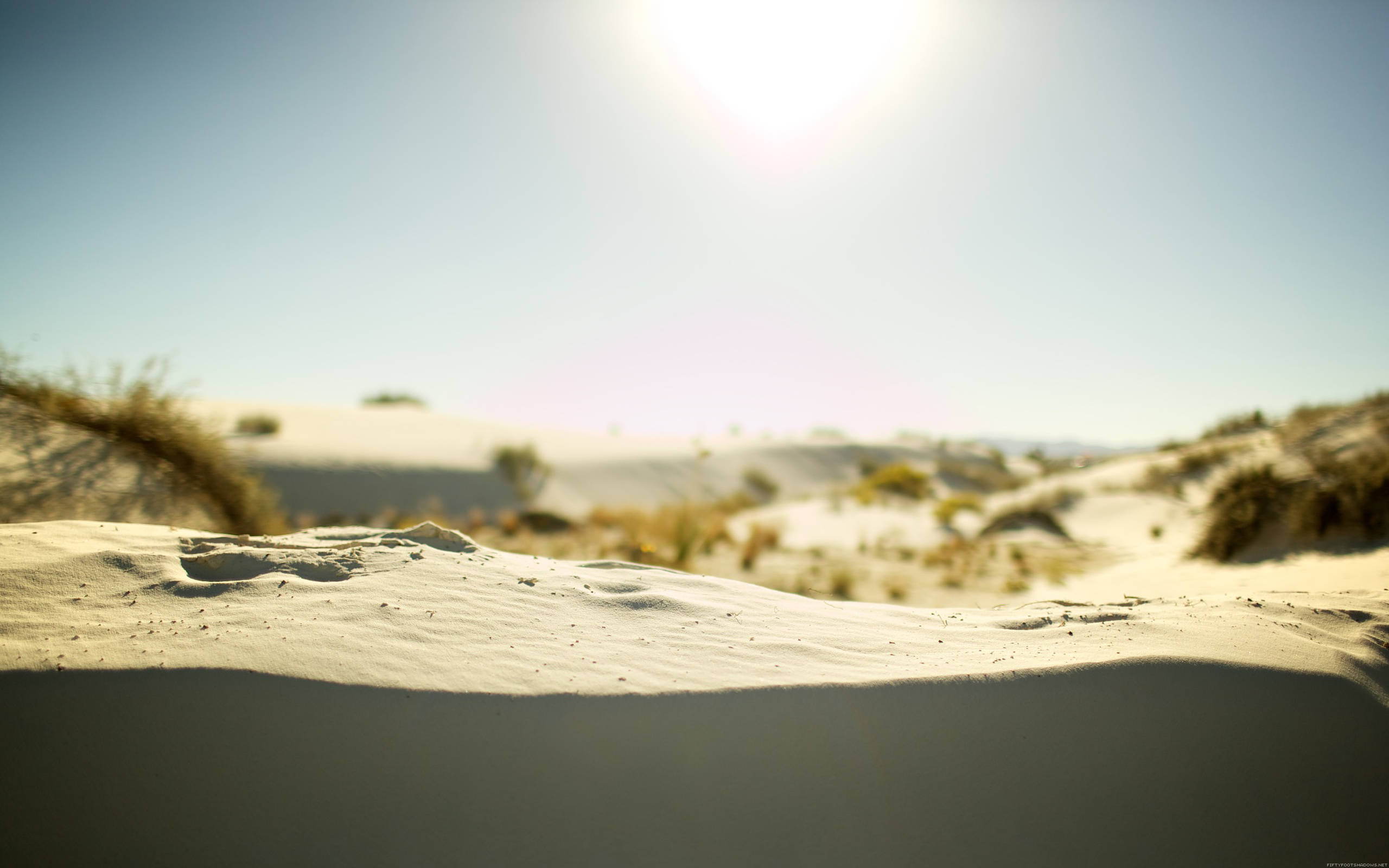 Desert Sun, white, sand dunes, 2K Desktop Wallpaper