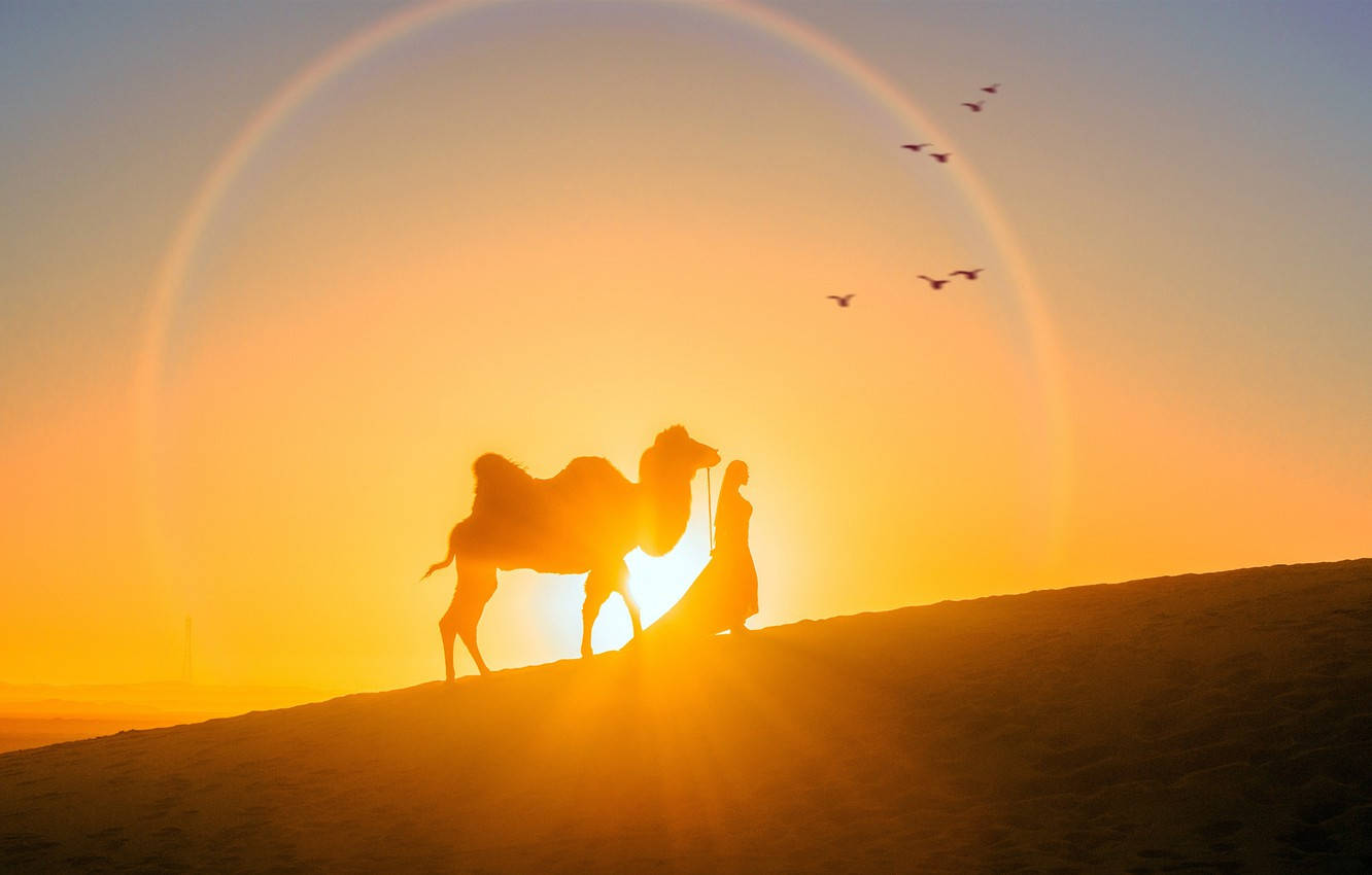 Desert Sun, sunset, rainbow arc, HD Desktop Wallpaper