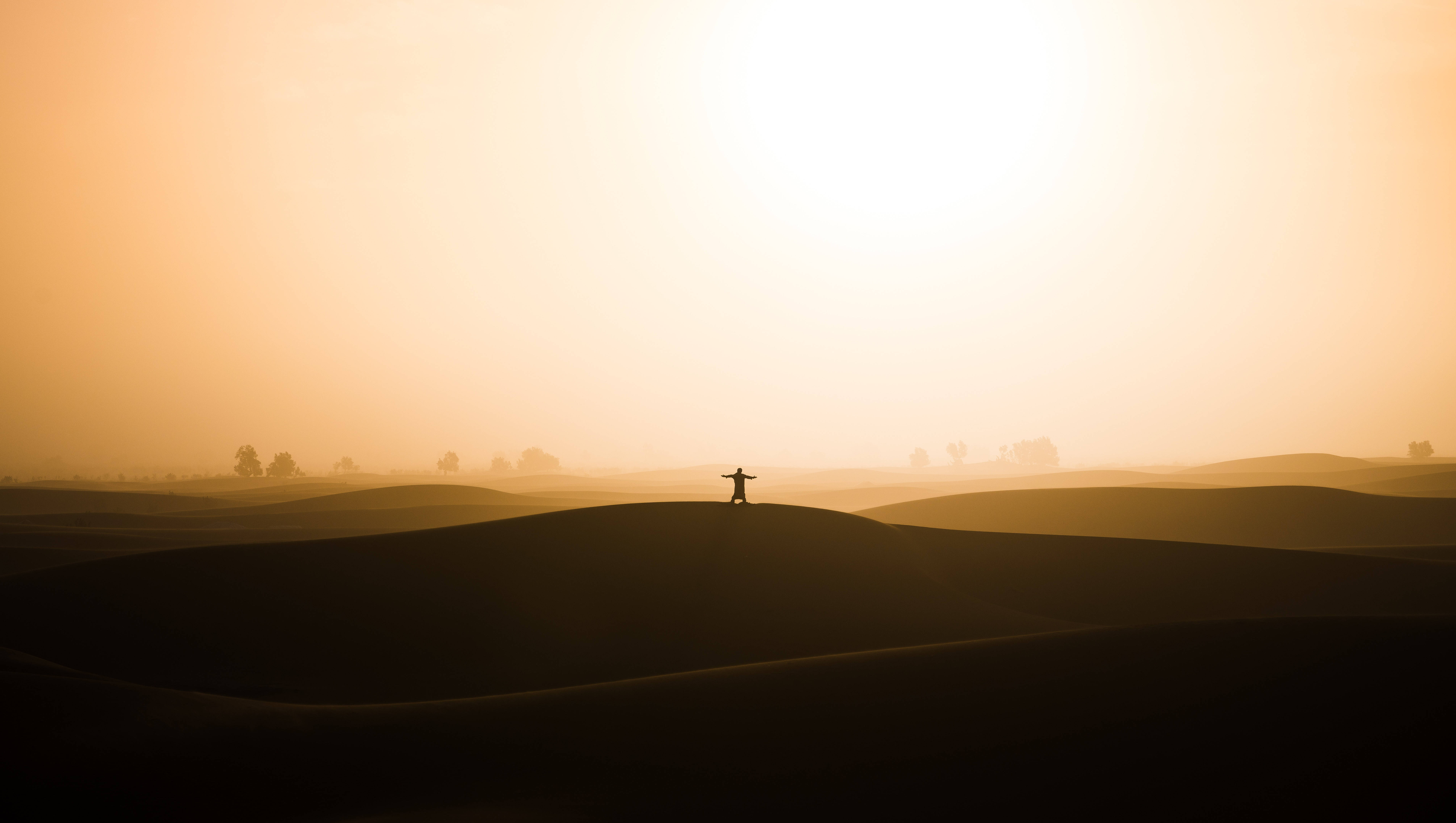 The Desert Sun Man, desert dune, golden sunrise, 5K Desktop Wallpaper