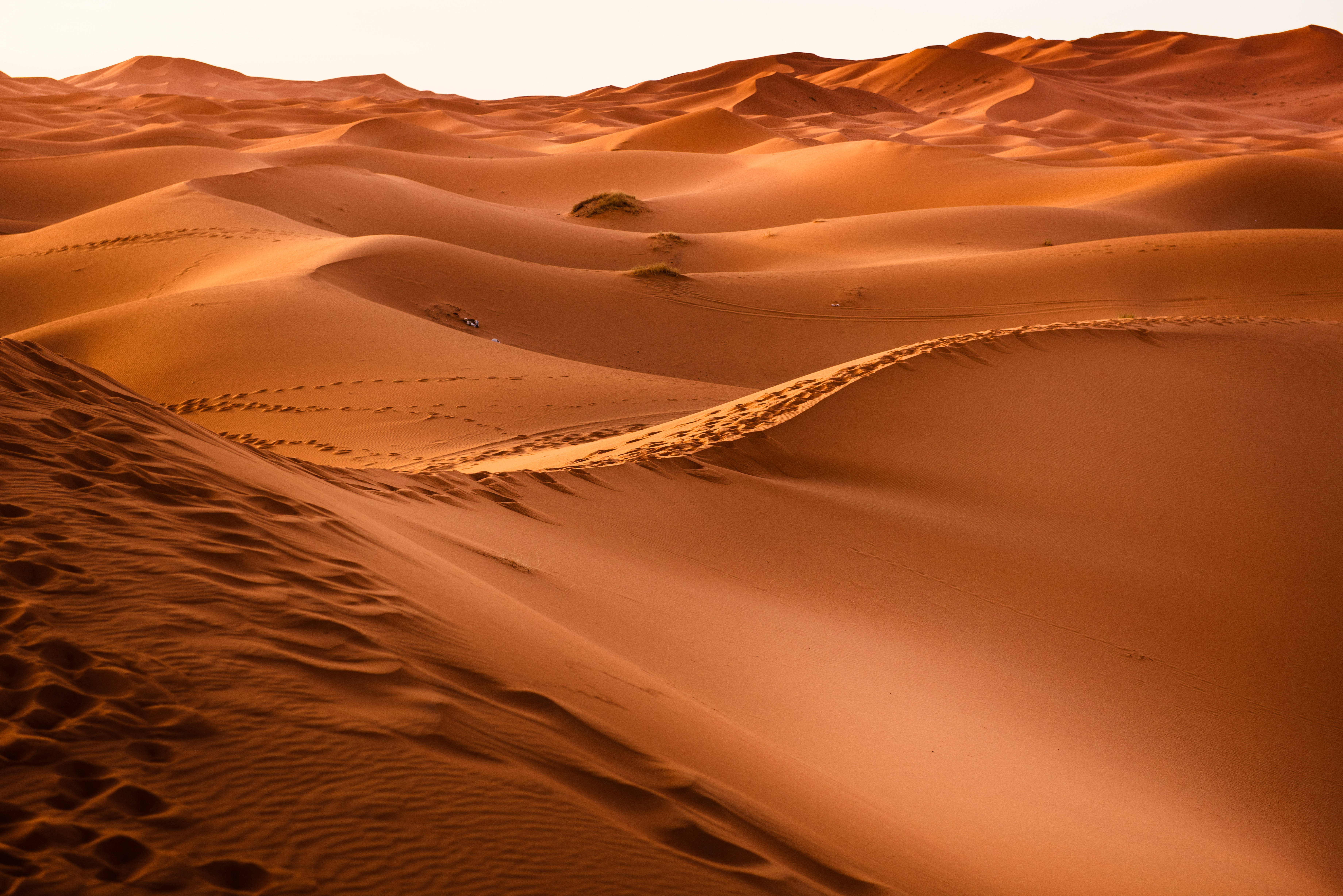 Golden sand dunes, warm sunset light, tire tracks, 5K Desktop Wallpaper