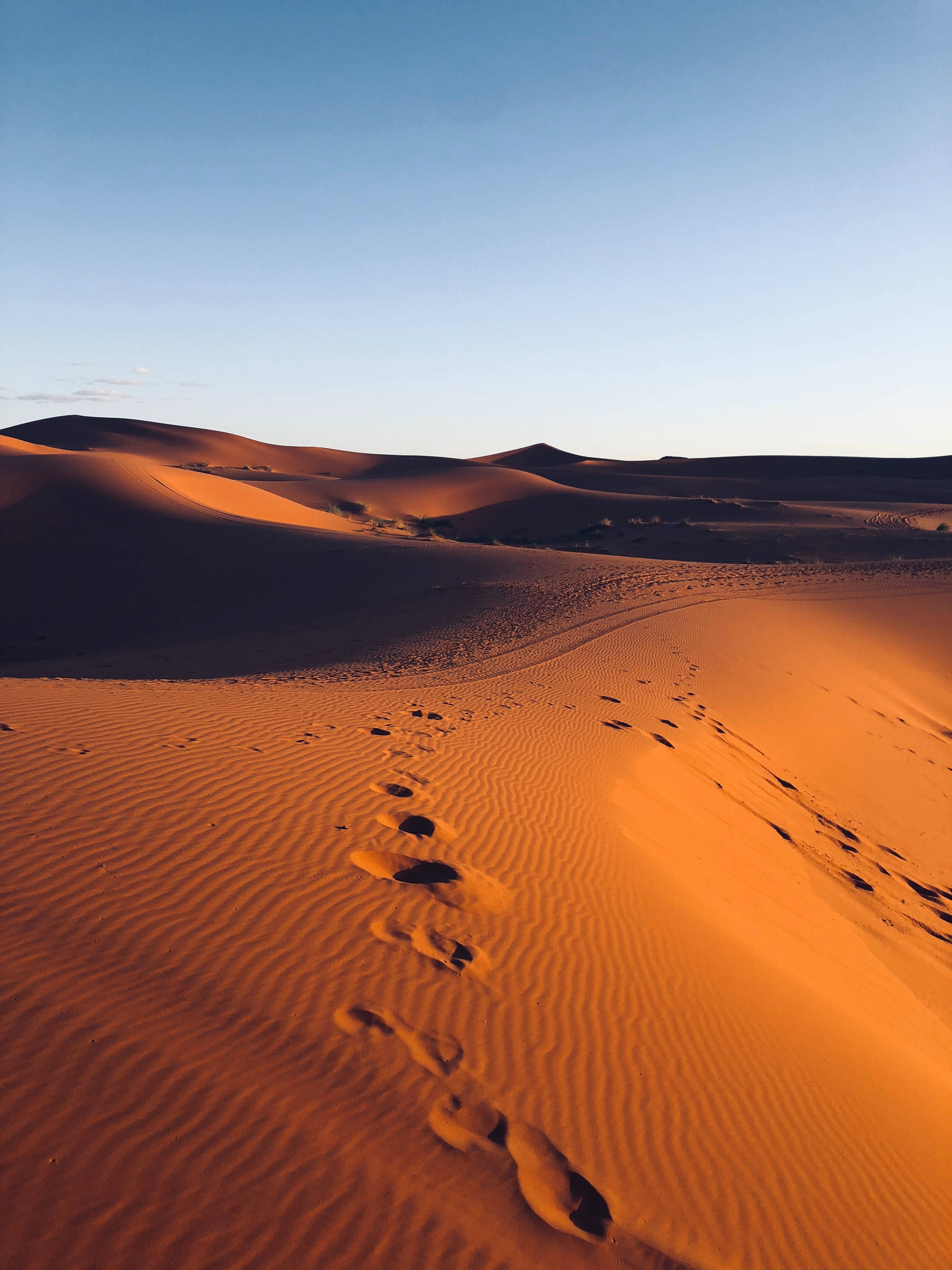 orange sand dunes, clear blue sky, golden hour, 4K Phone Wallpaper